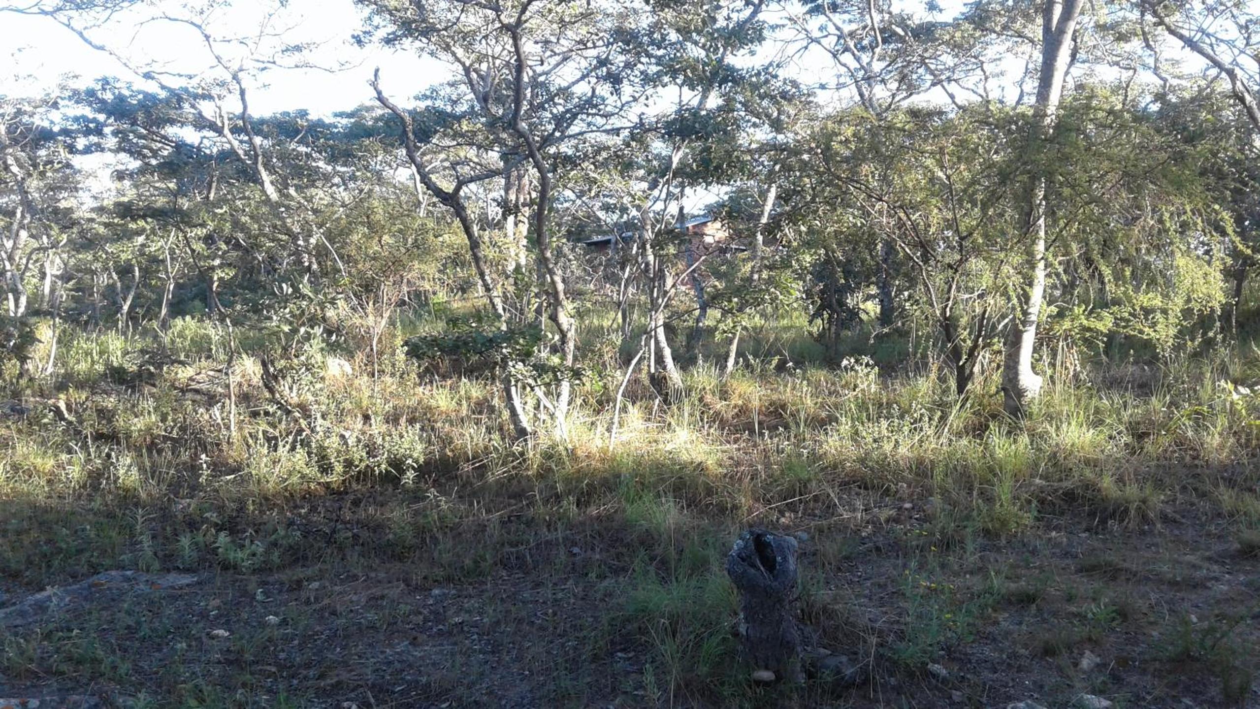 Photo 26