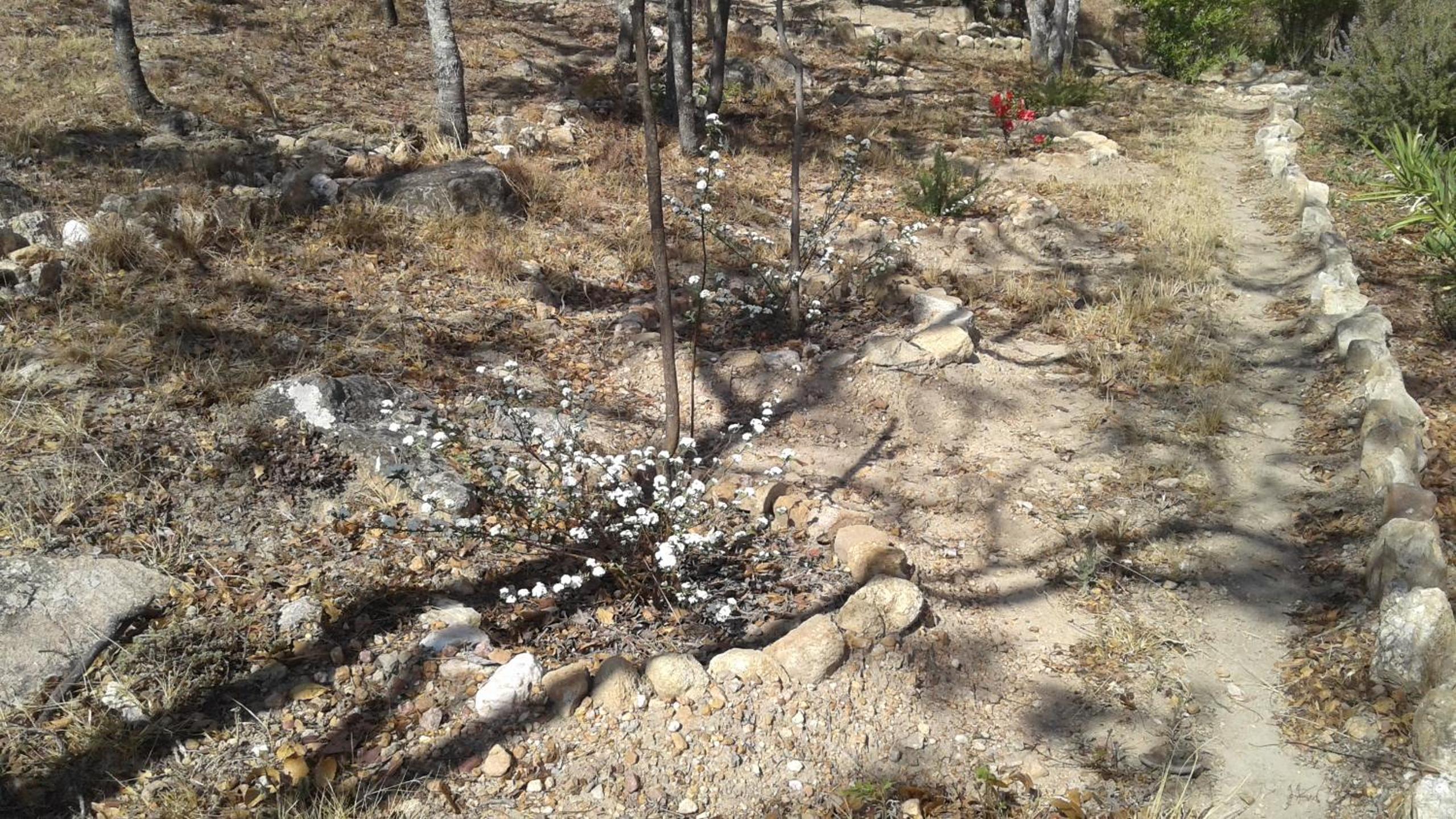 Photo 35