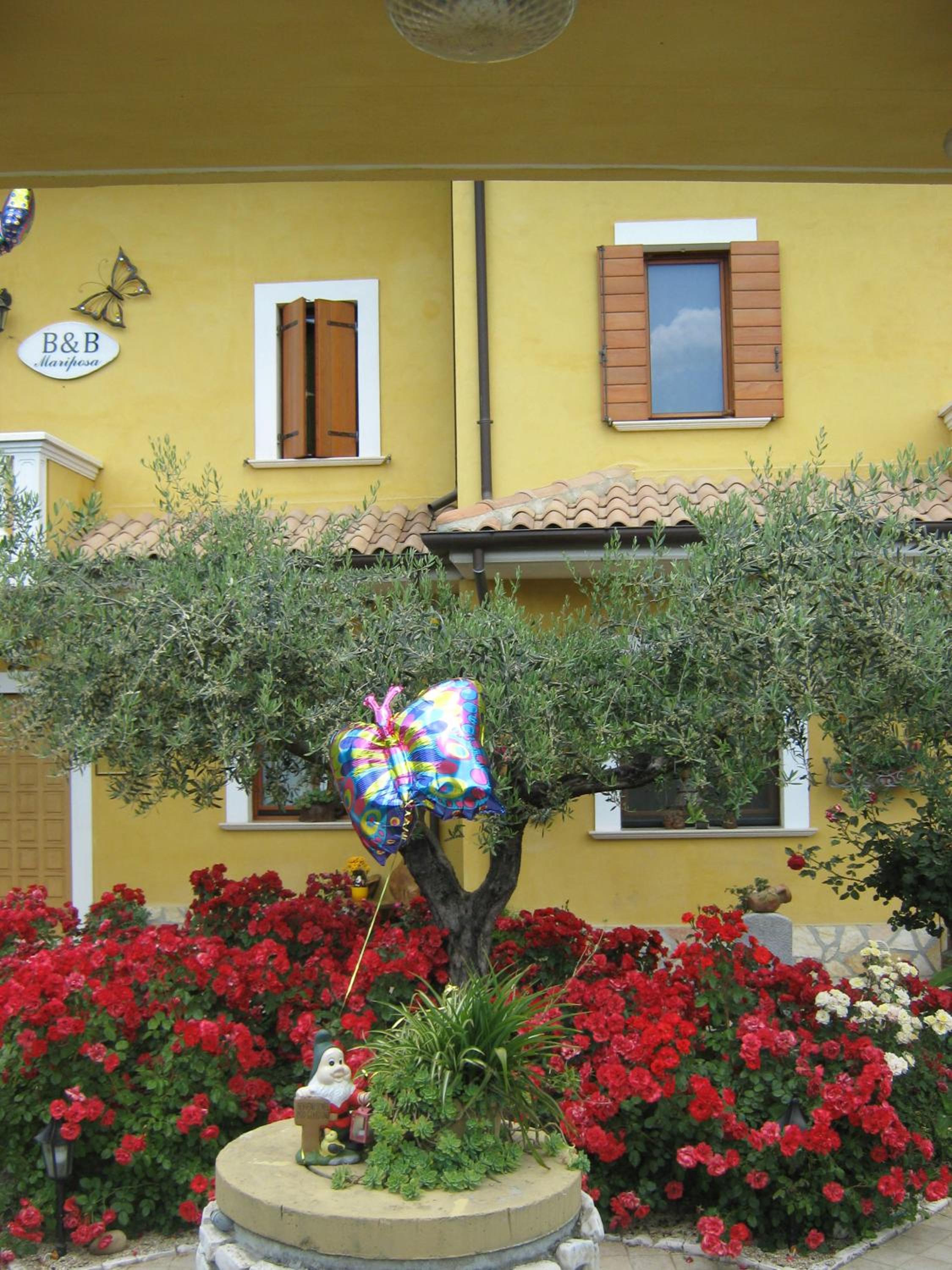 B&B Mariposa