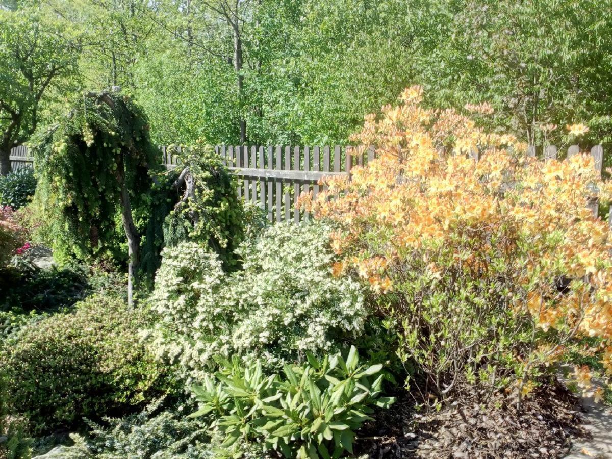 Photo 27
