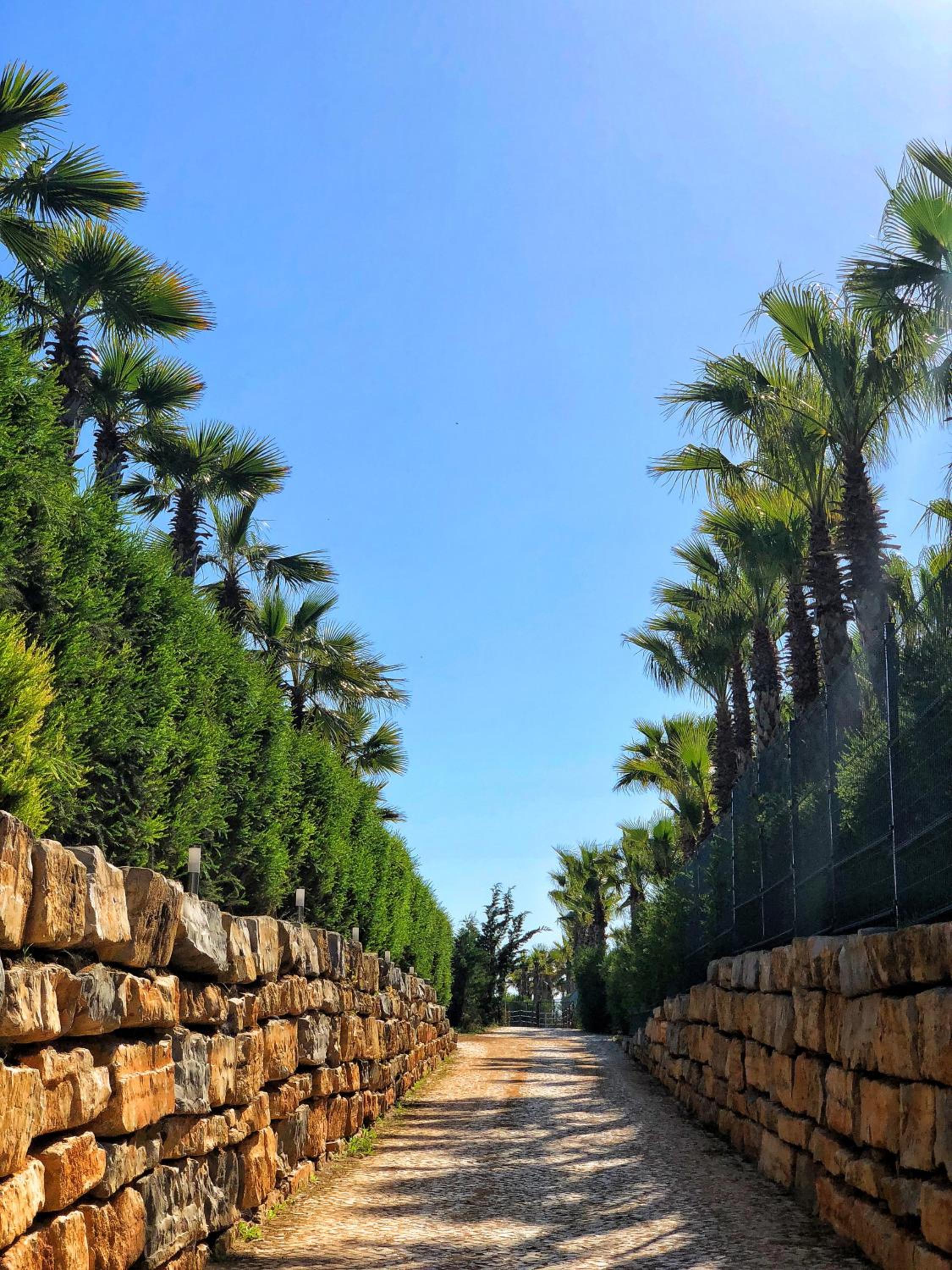 Herdade dos Salgados Beach apartment view 2