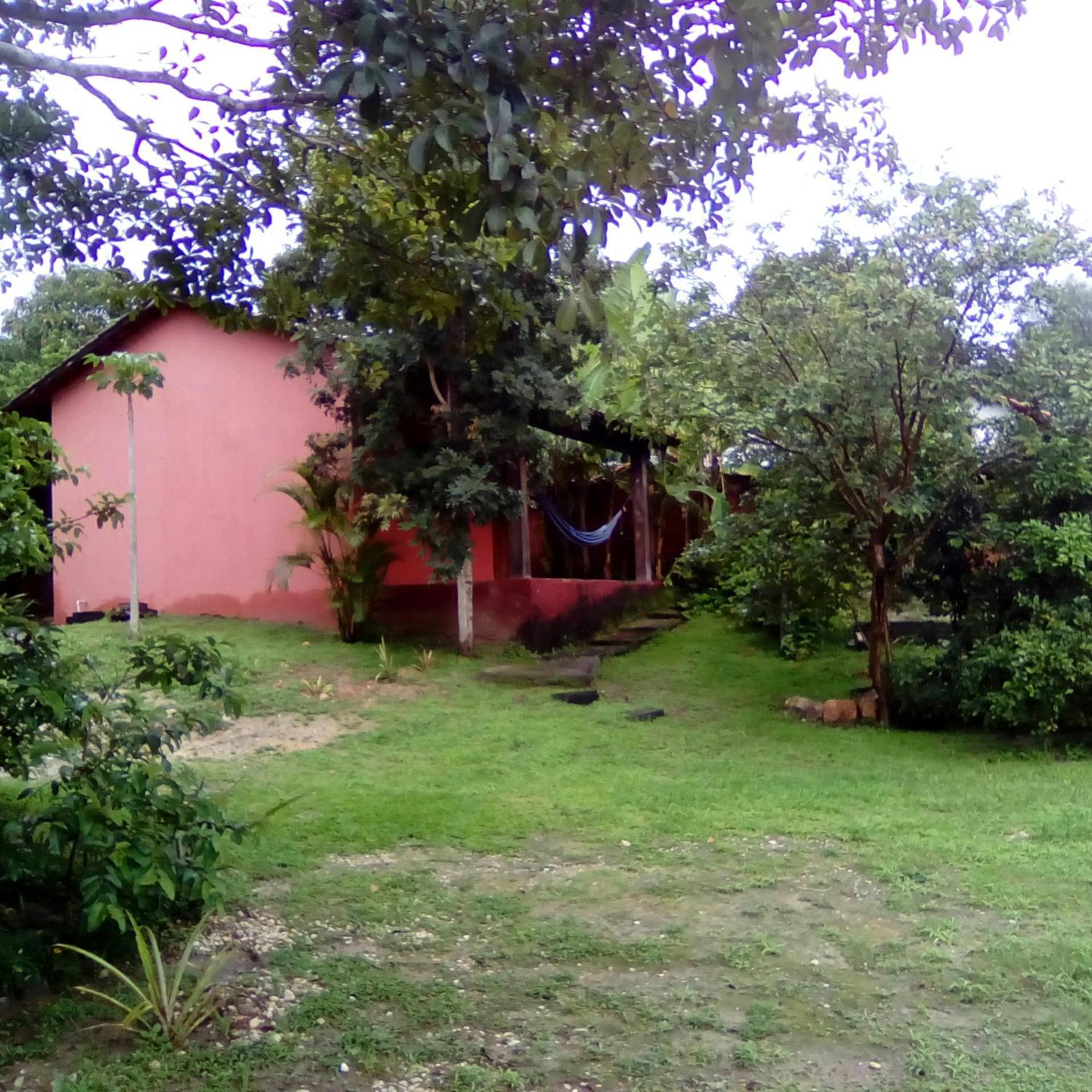 Photo 26
