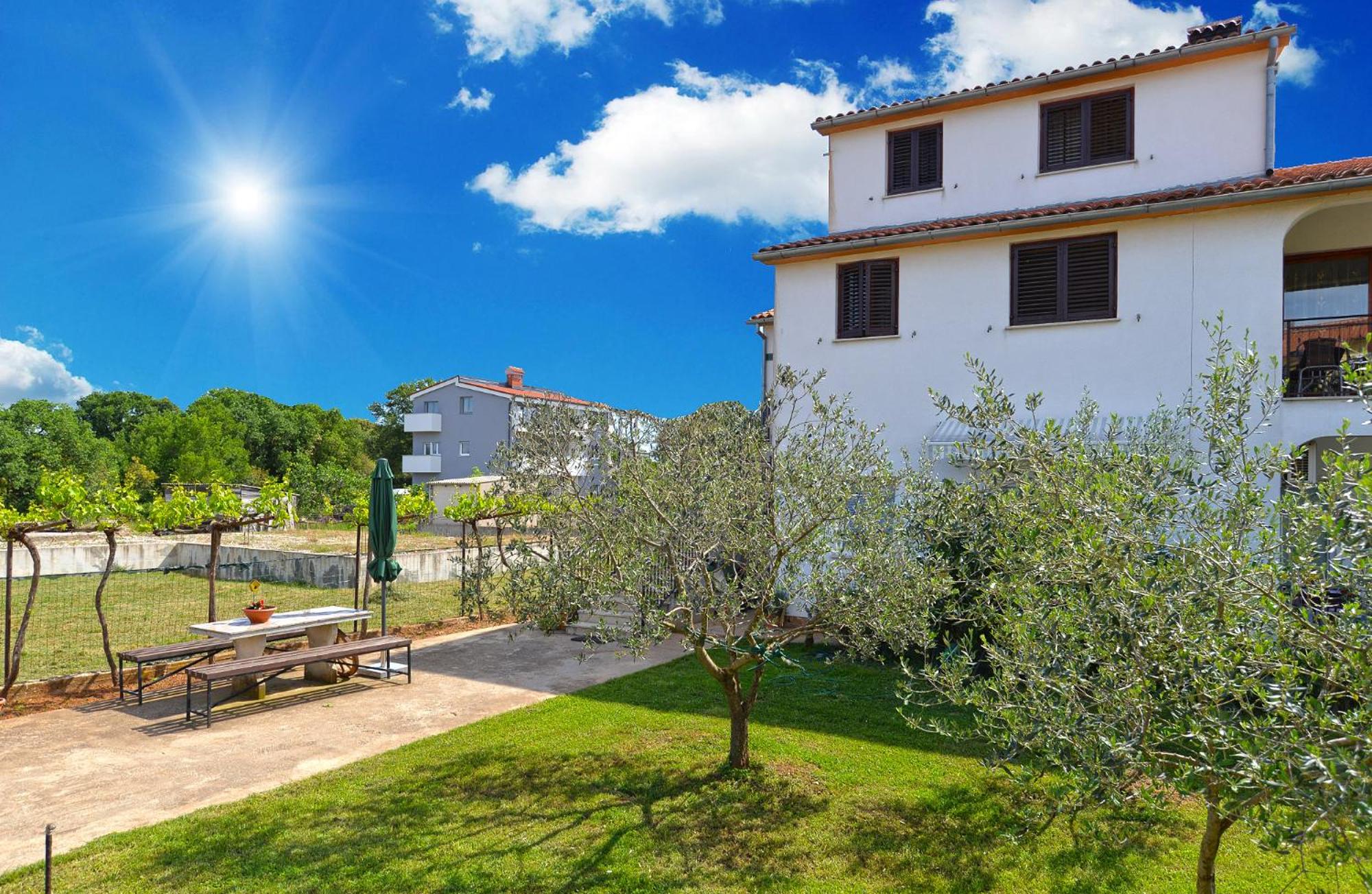 Photo 26
