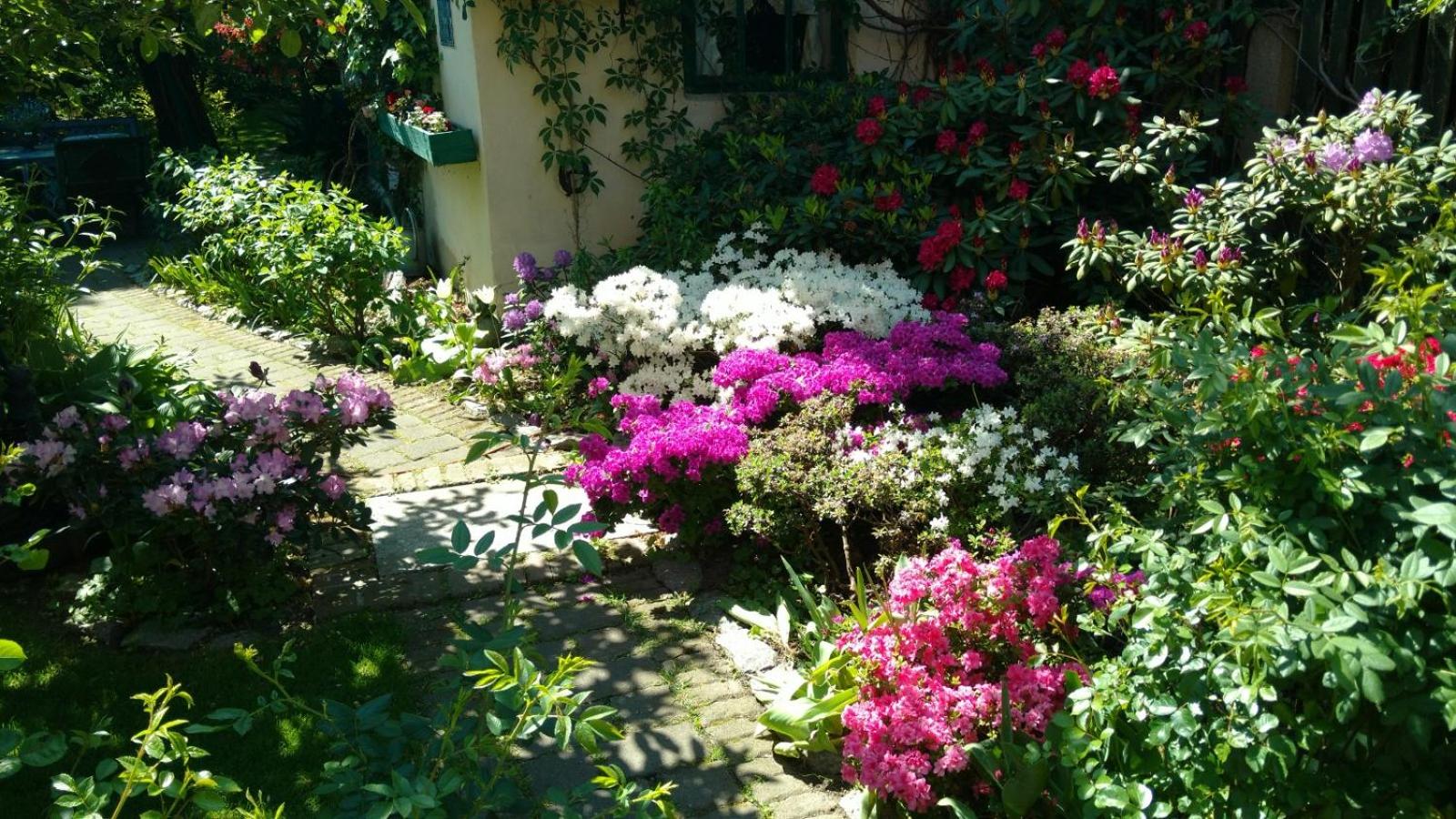 Photo 11
