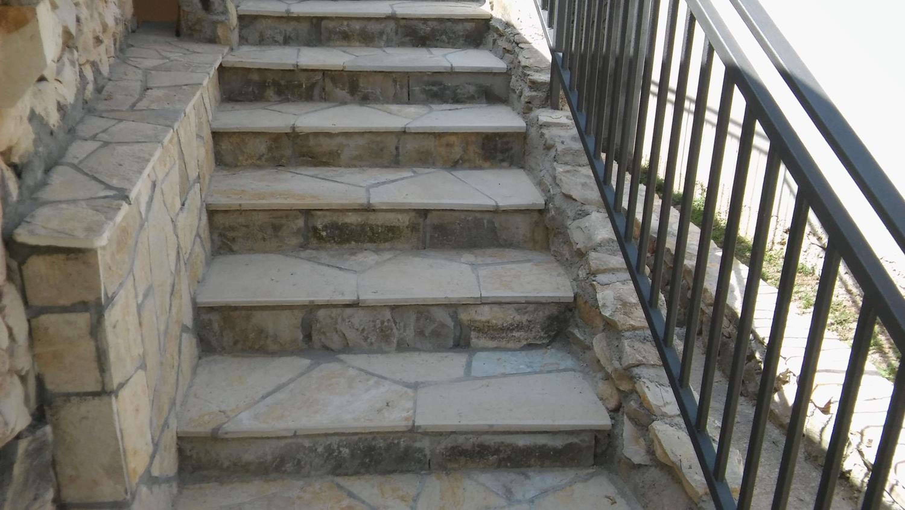 Ruža view 4