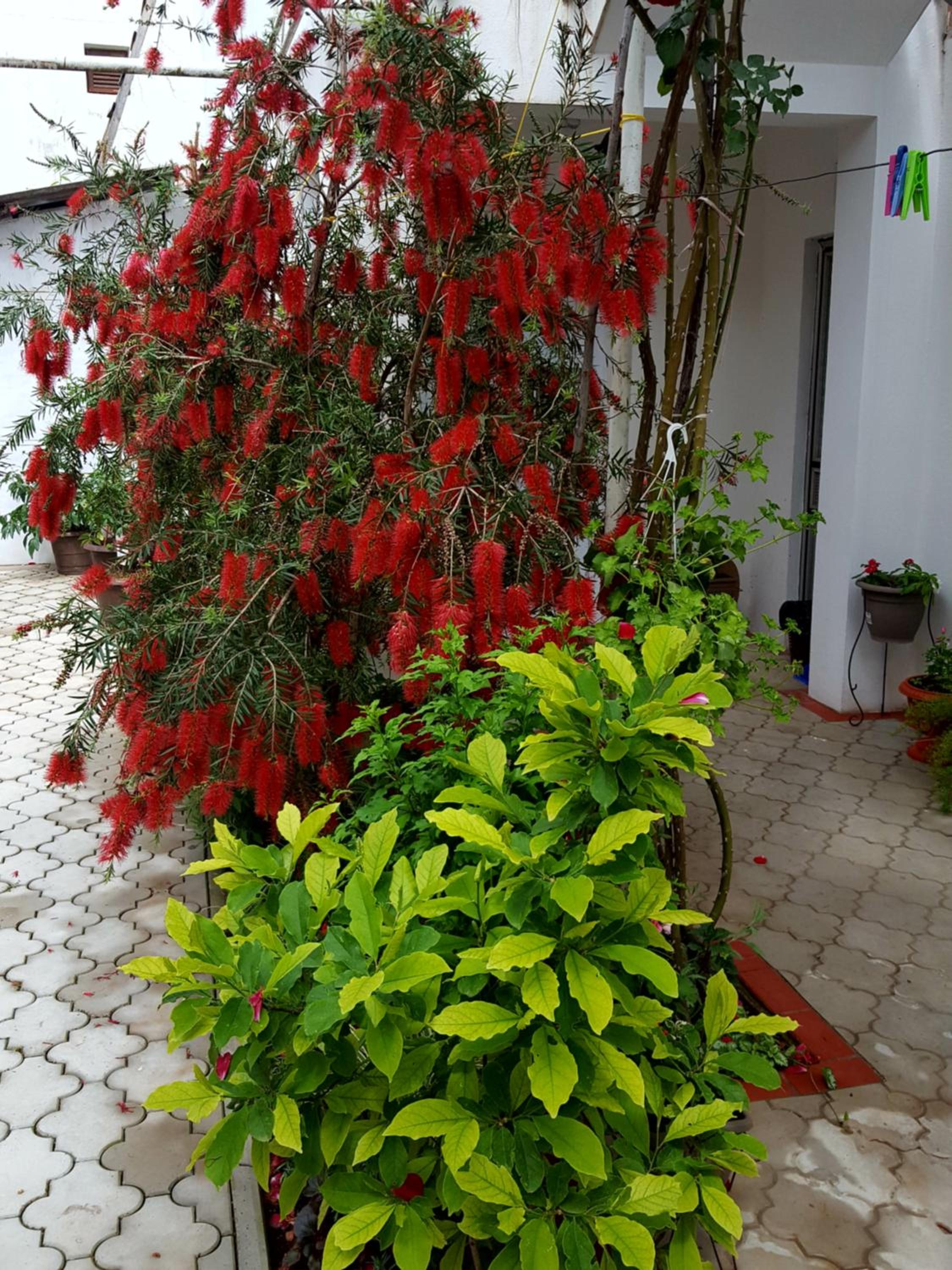Photo 26