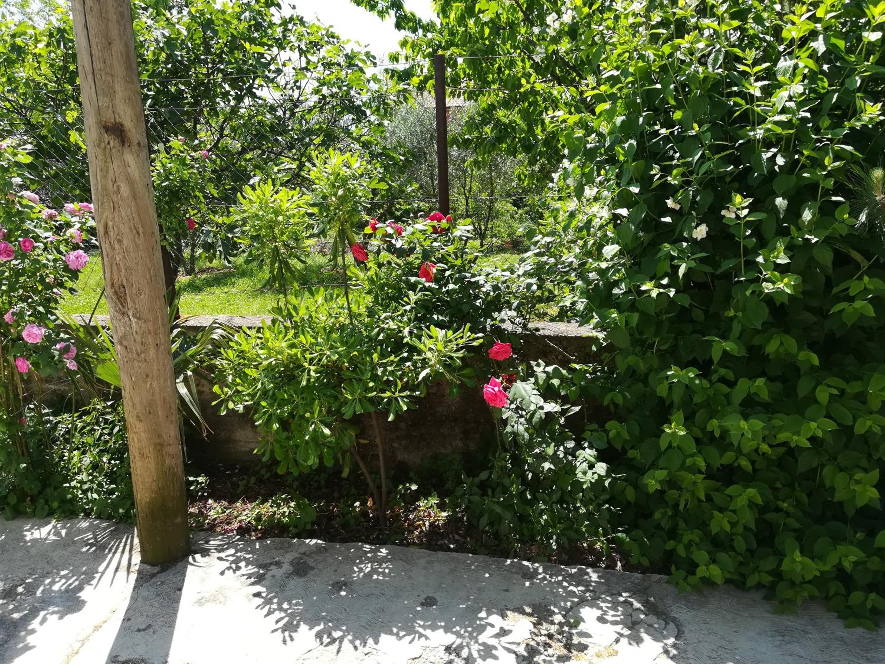 Photo 22