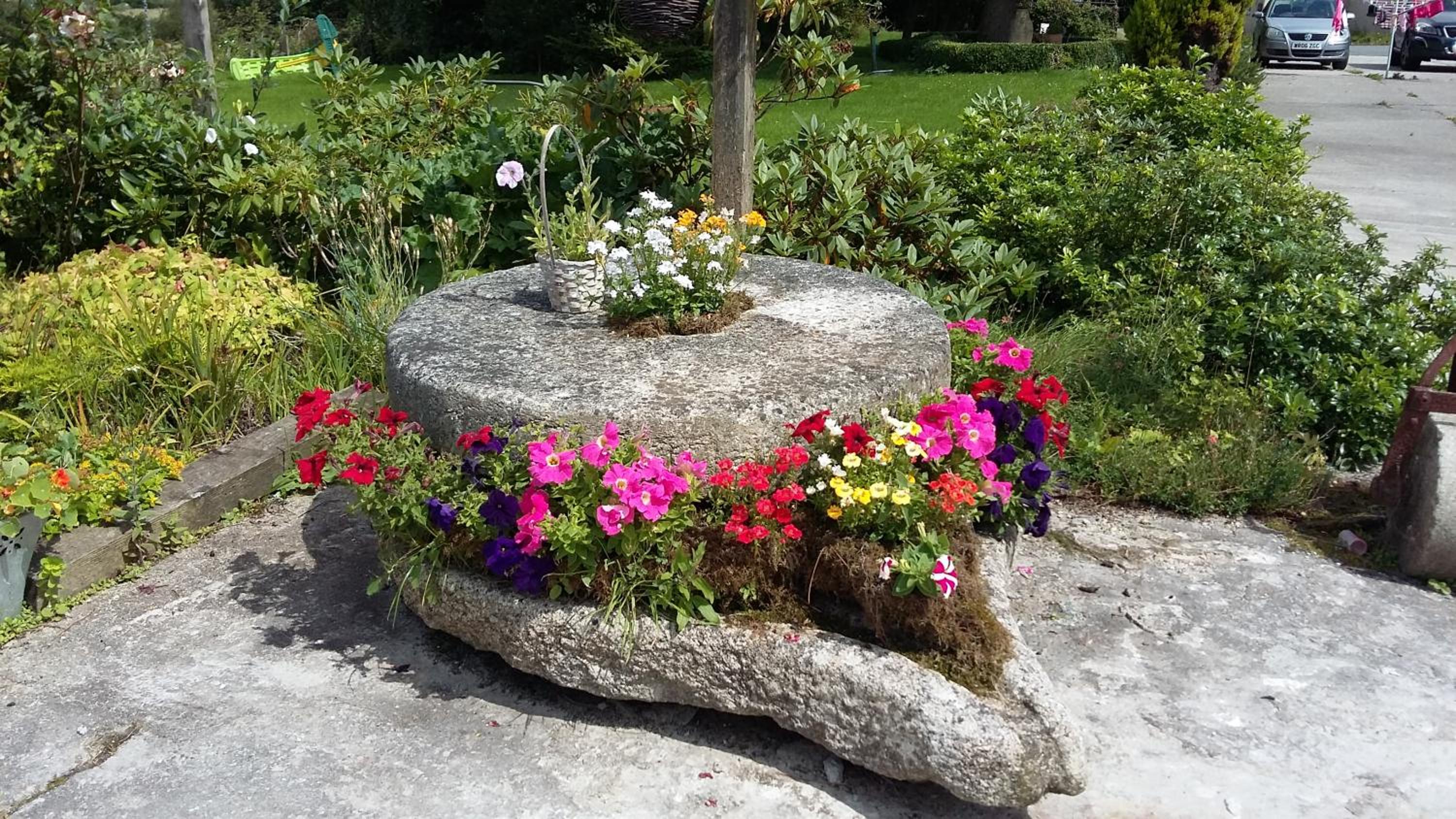 Photo 25
