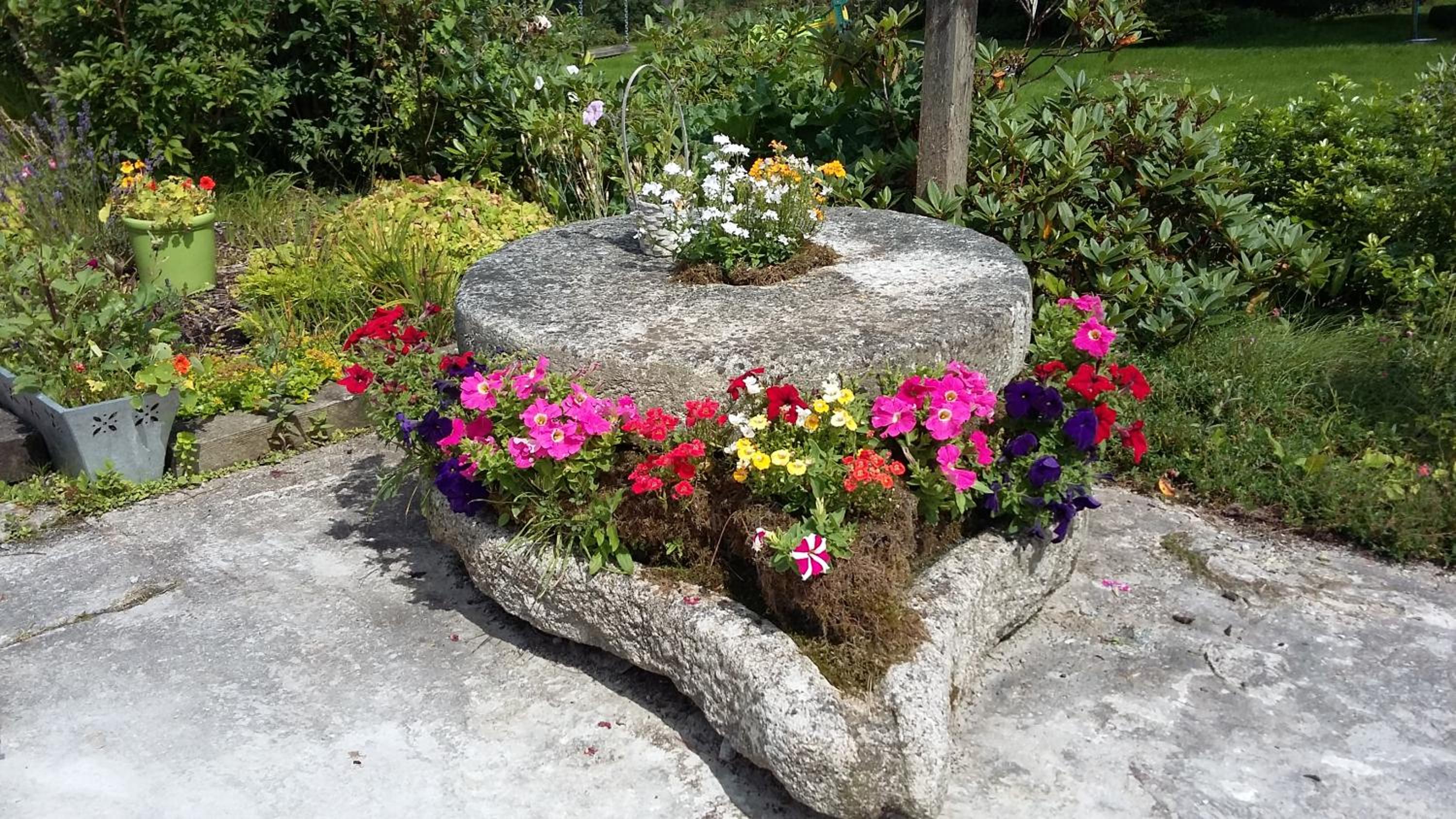 Photo 26