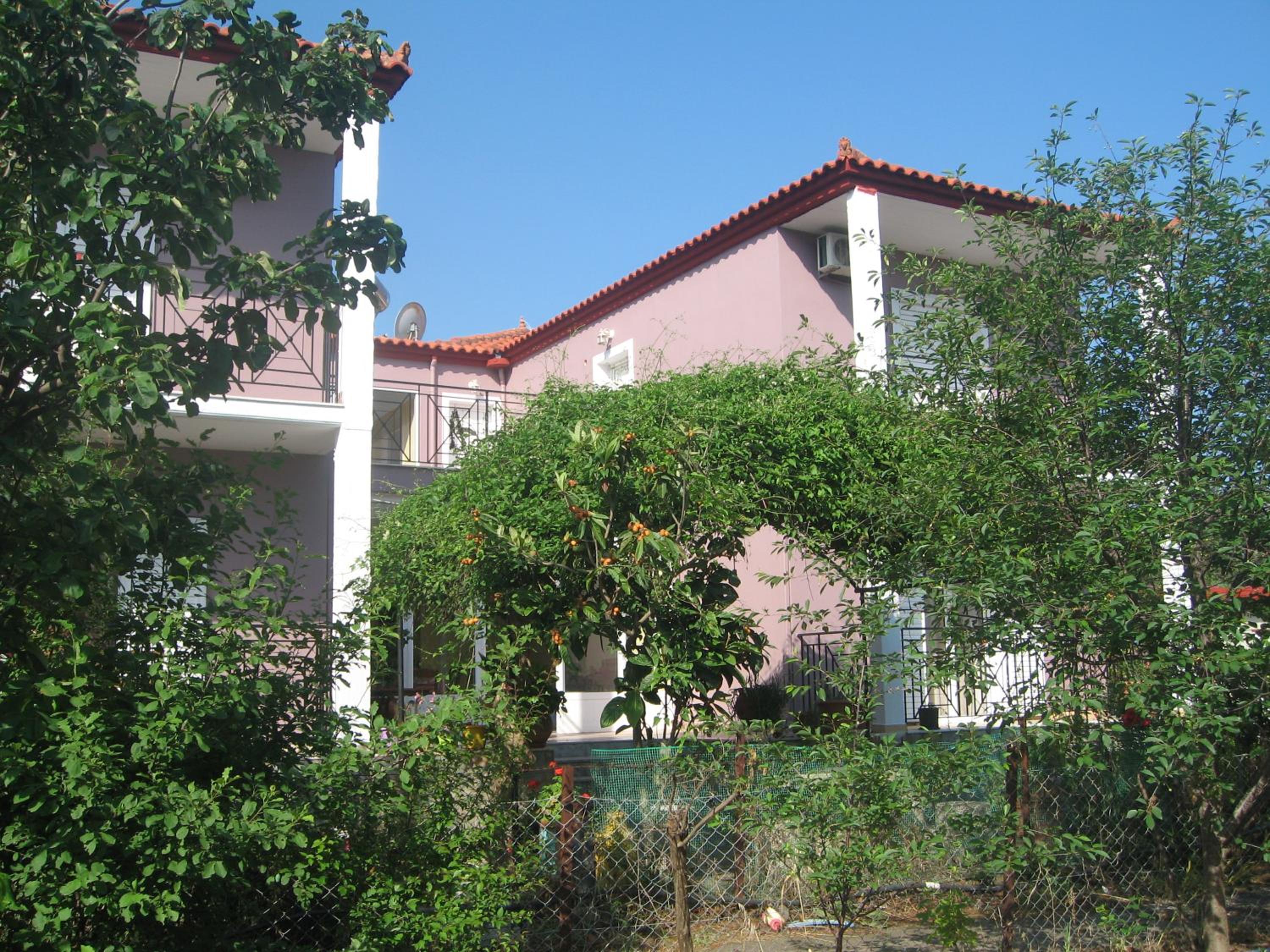 Photo 43