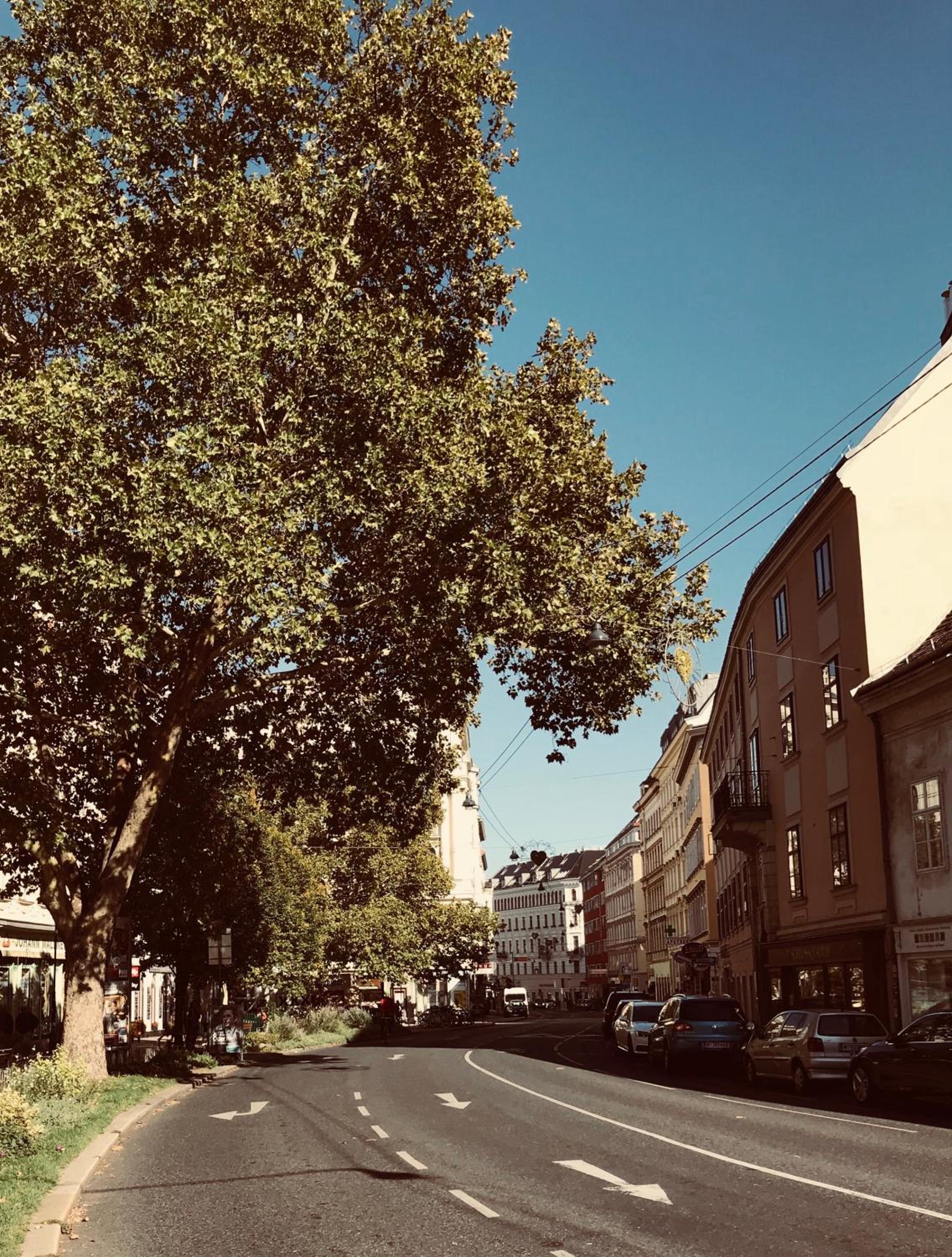 Best Place Apartments Vienna