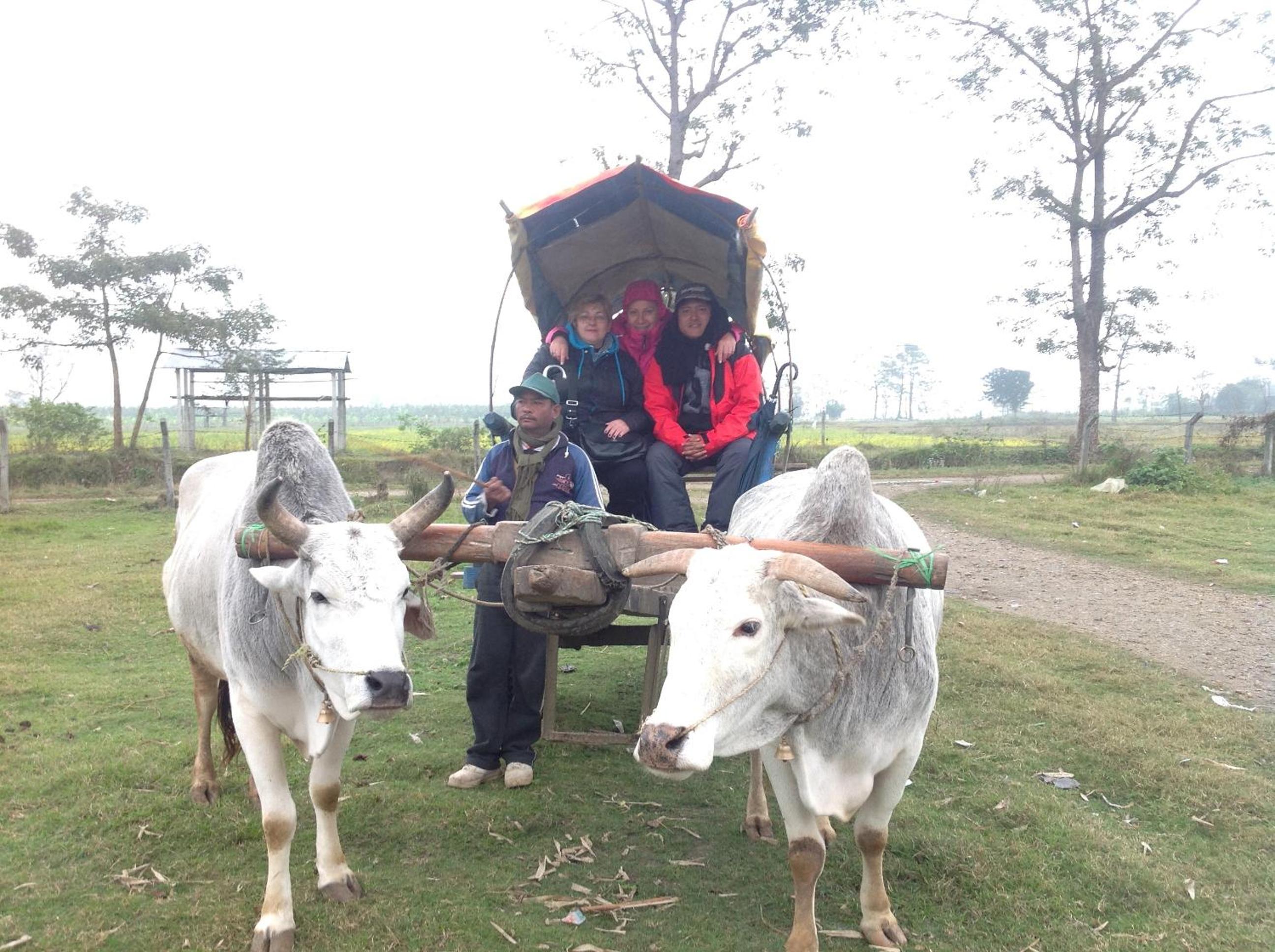 Everest Home Stay Apartment