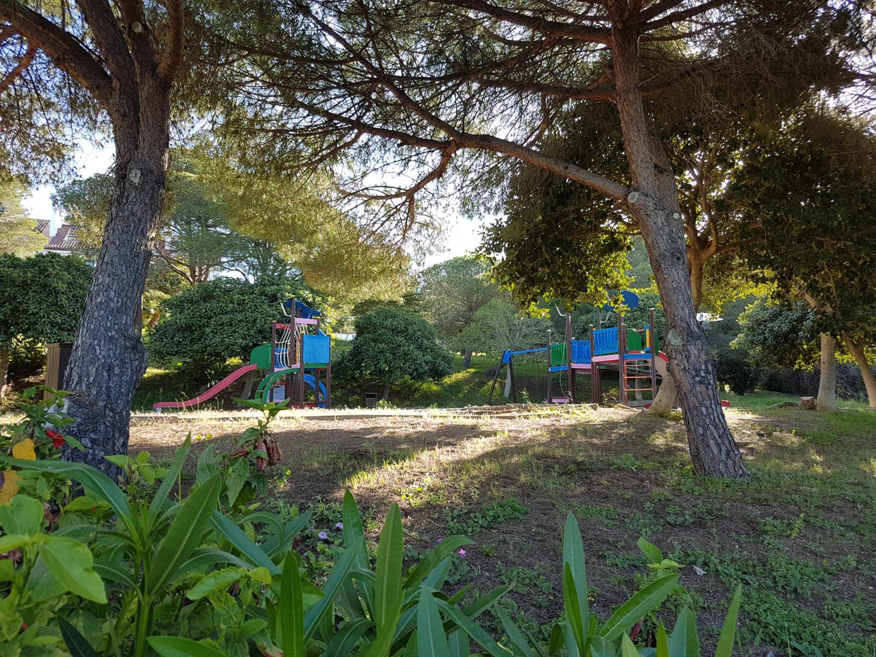 Jabeque