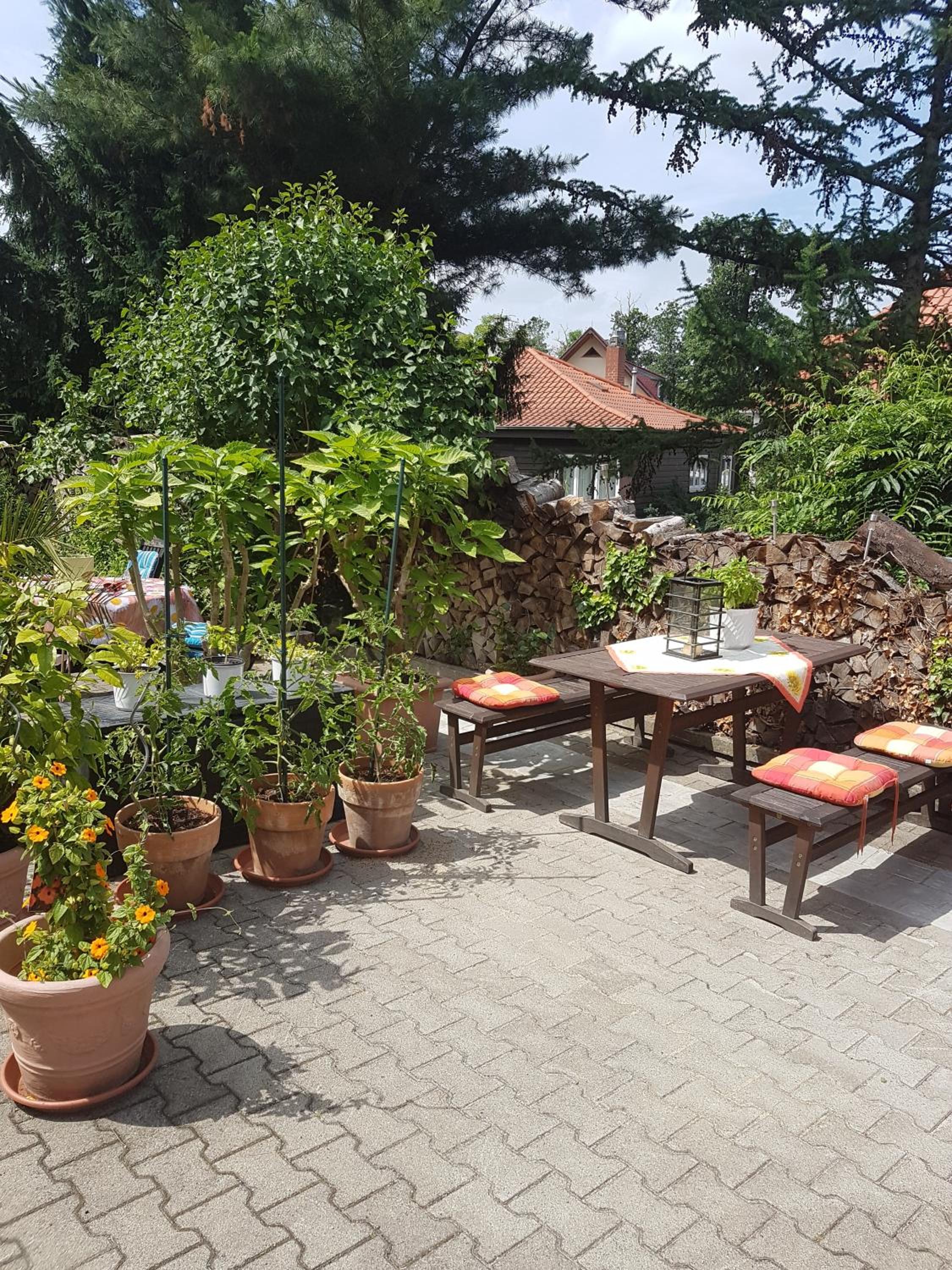 Haus Andrea view 3