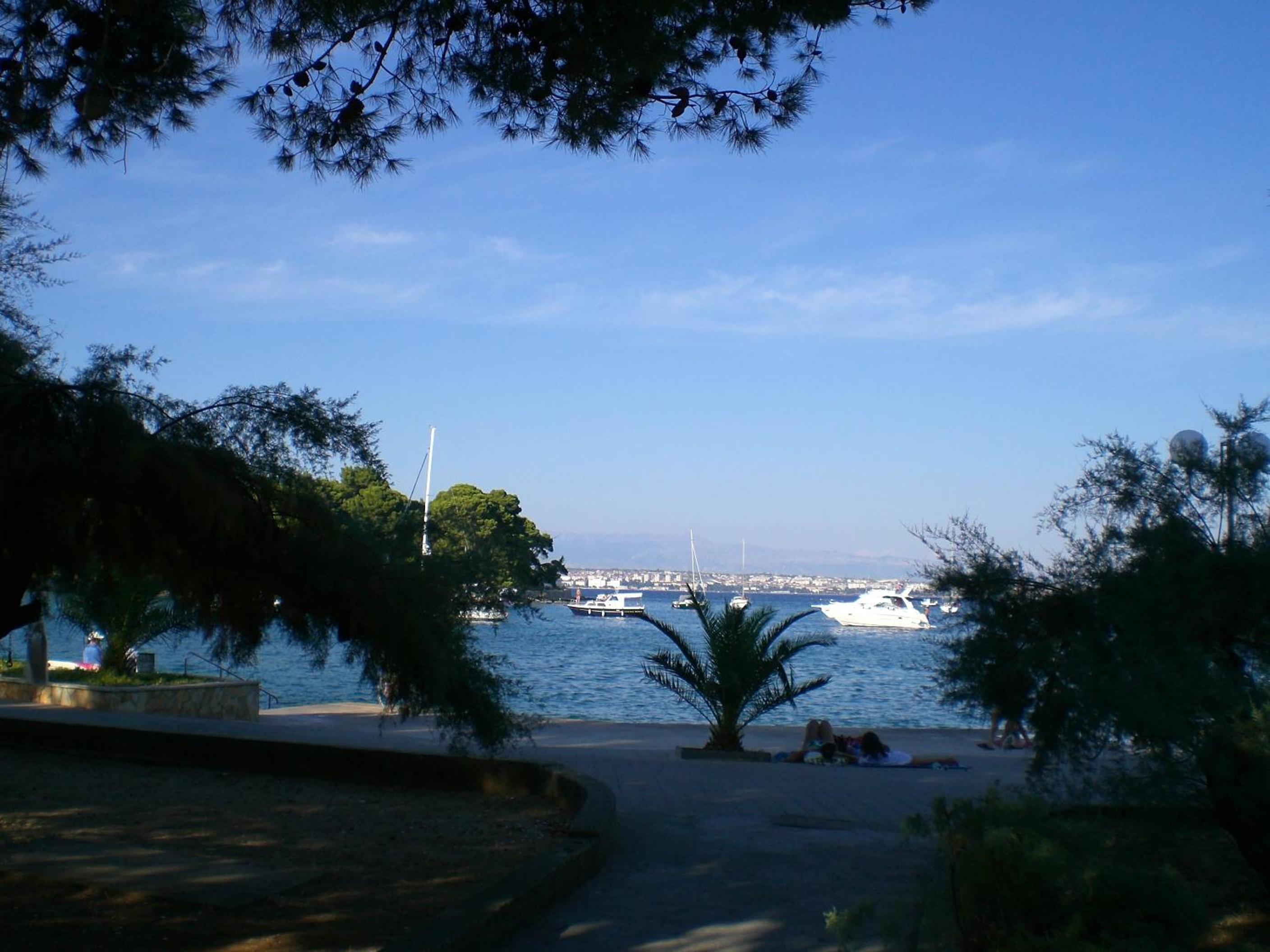 Photo 42