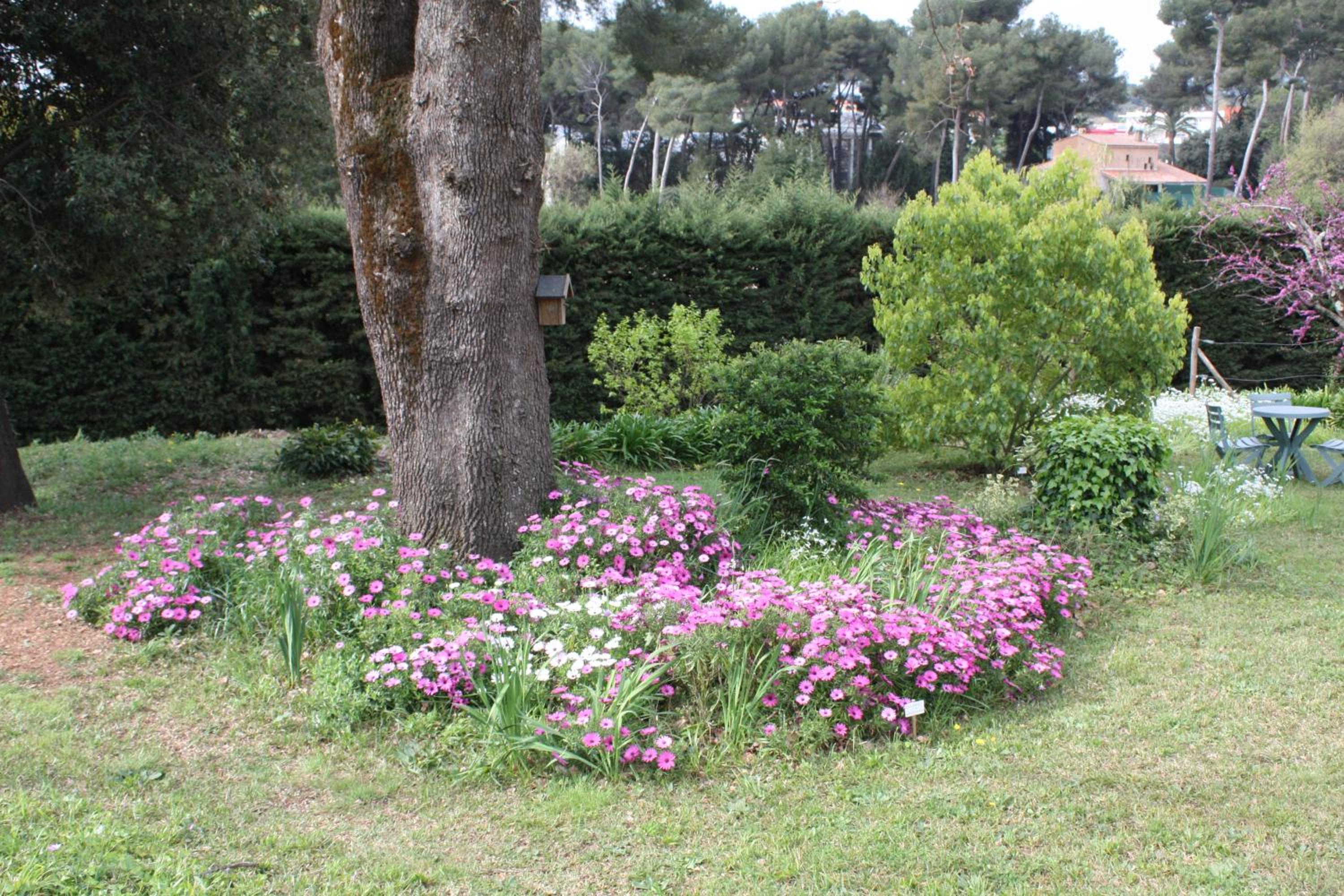 Photo 36