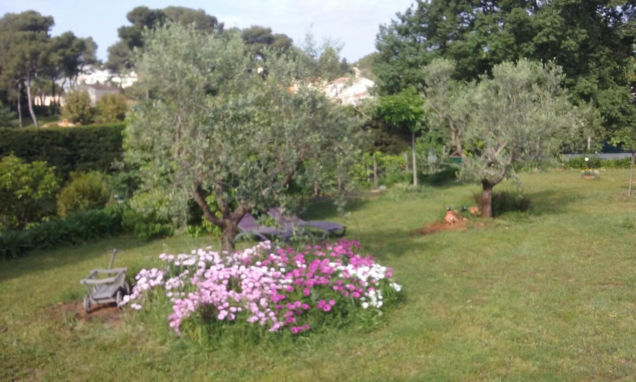 Ecole Buissonnière view 5