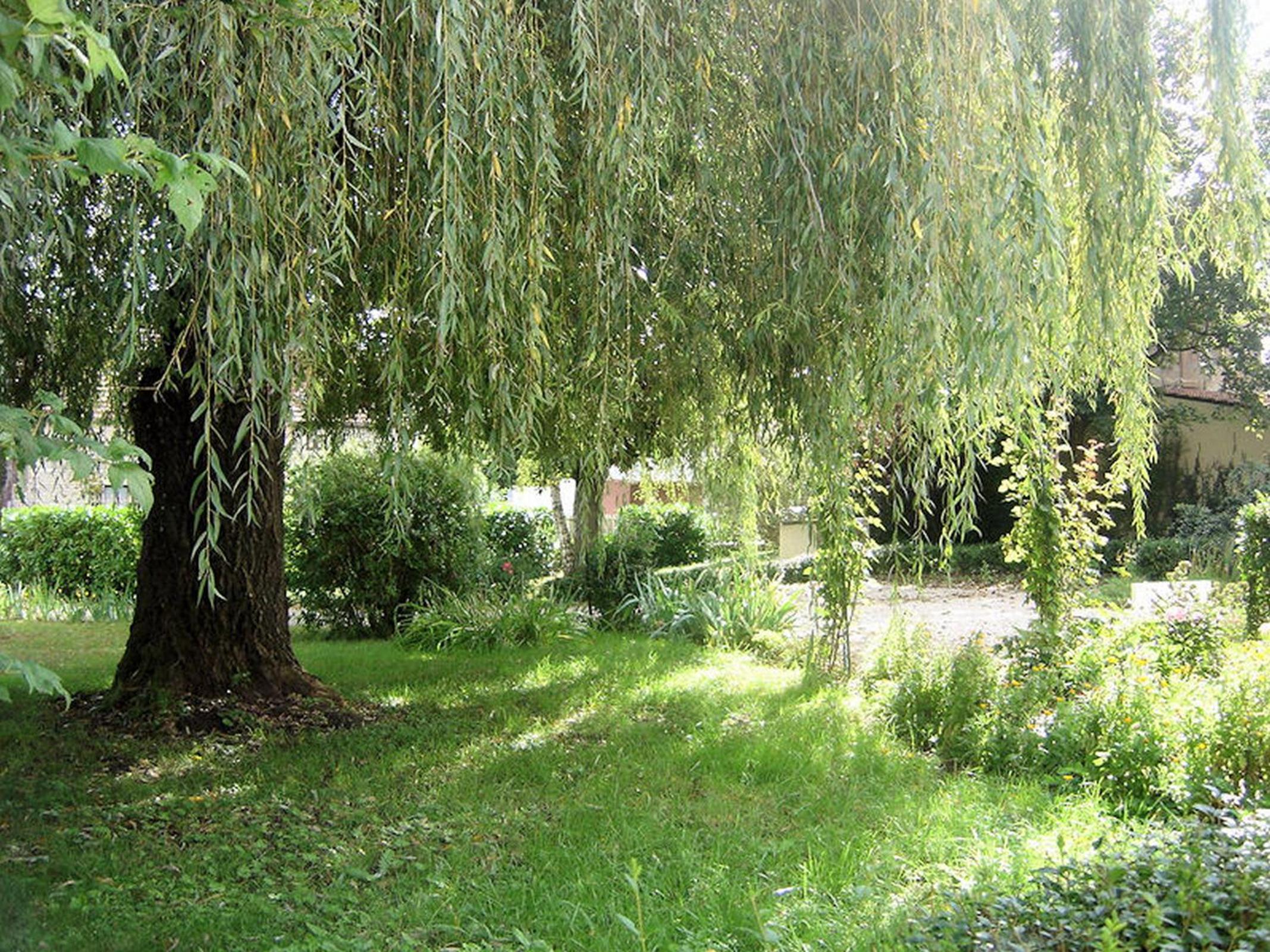 Photo 24