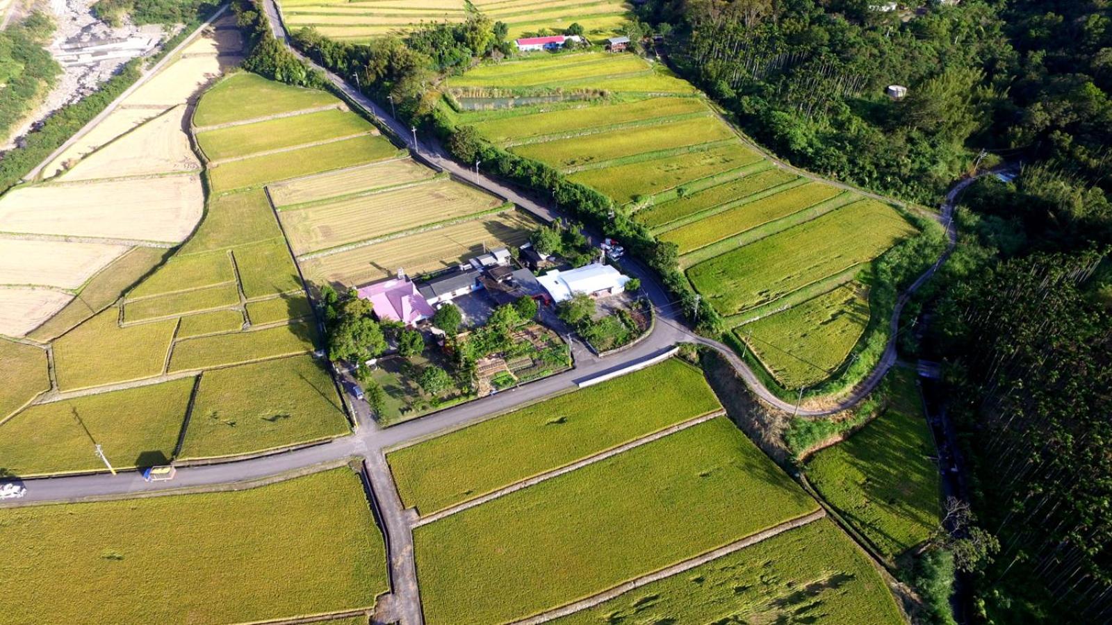 Mr. Tanaka B&B view 2
