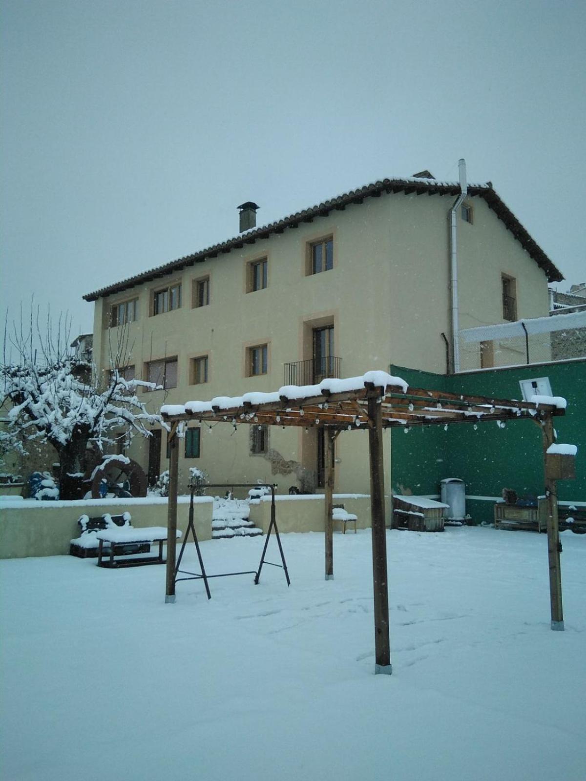 Photo 51