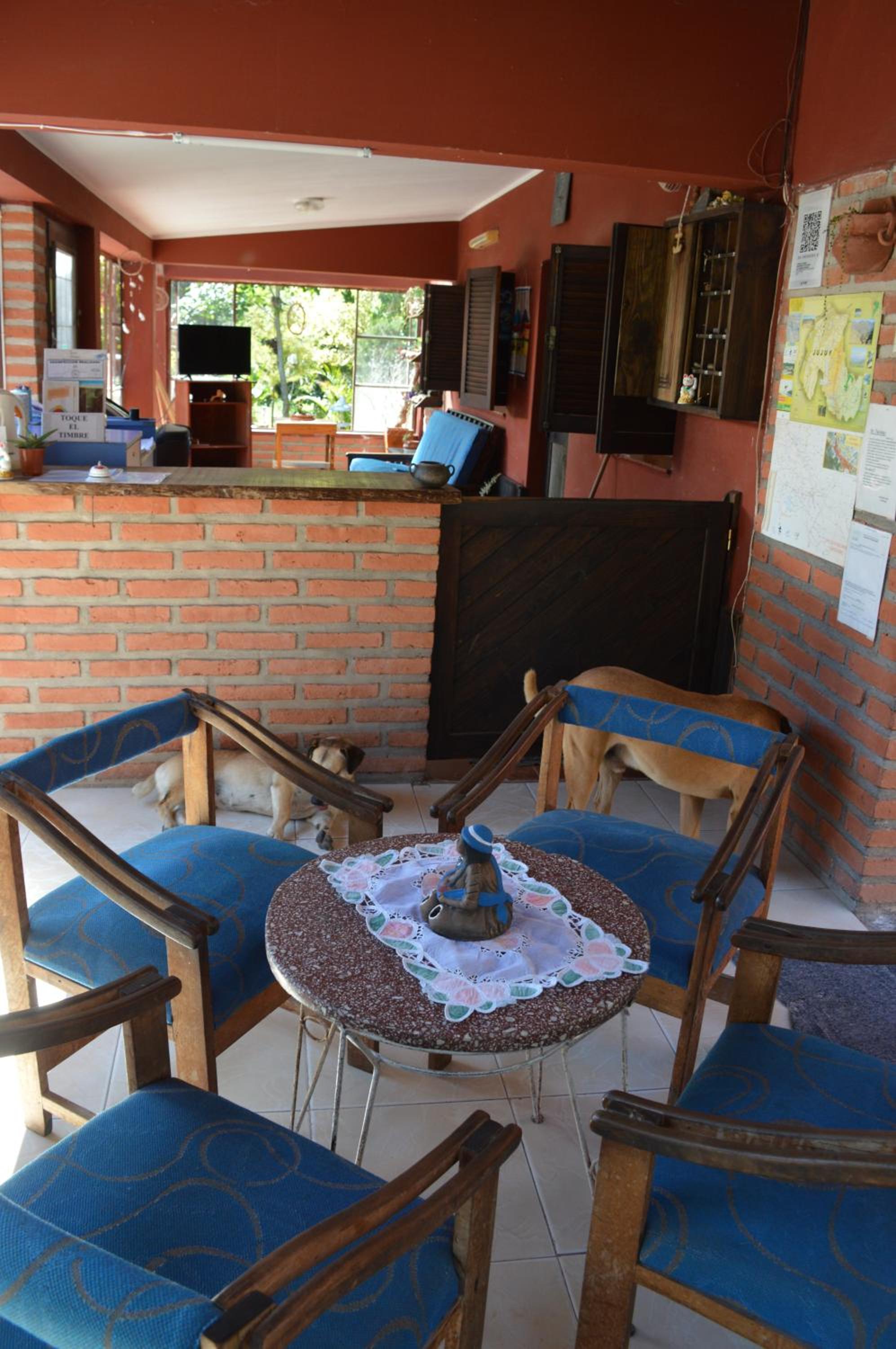 recepcion & lobby