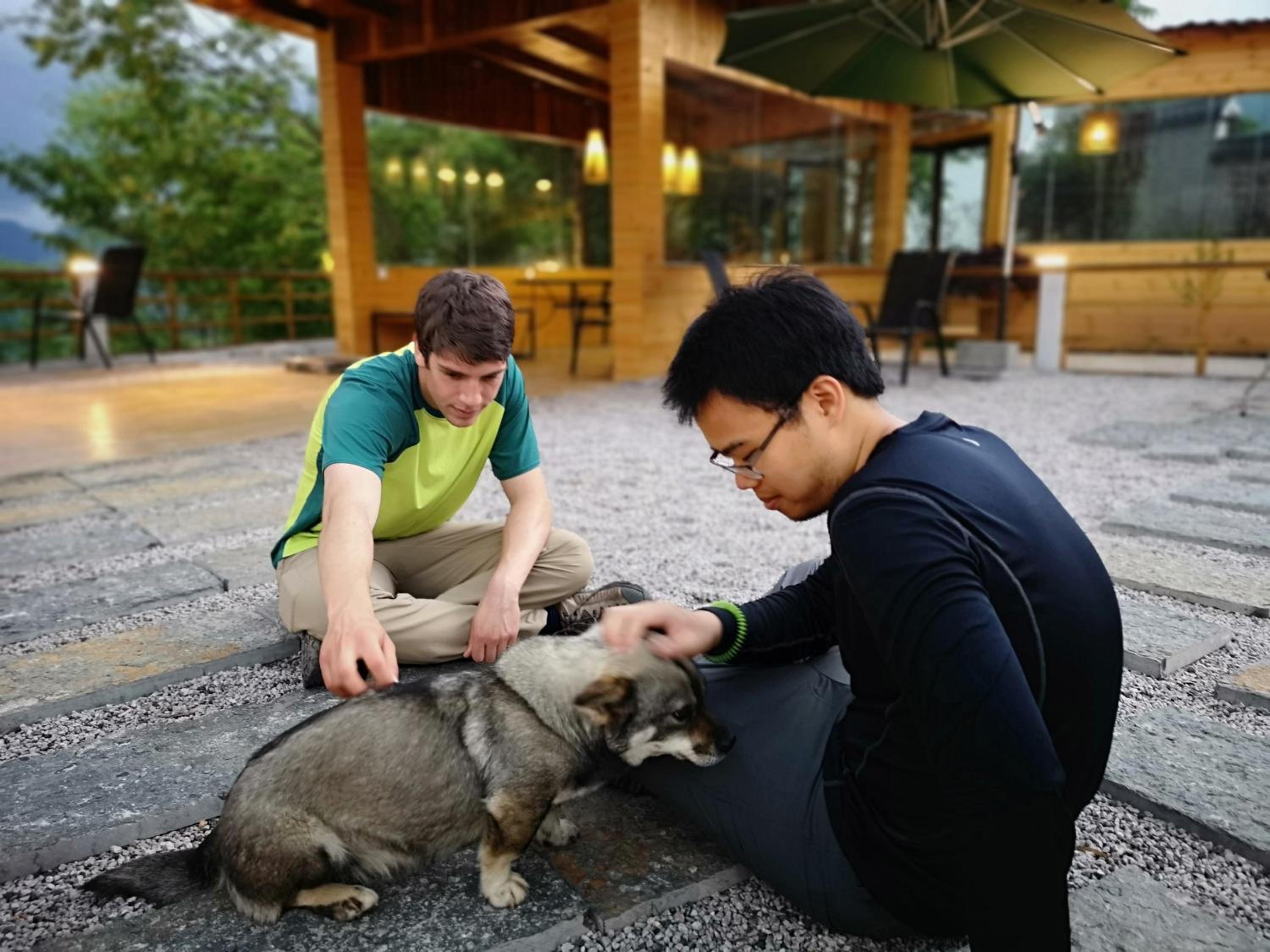 Zhangjiajie national park Purespace --2nights 1free pick-up&book tickets&5min to park