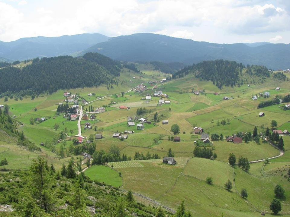 Pensiunea Edera