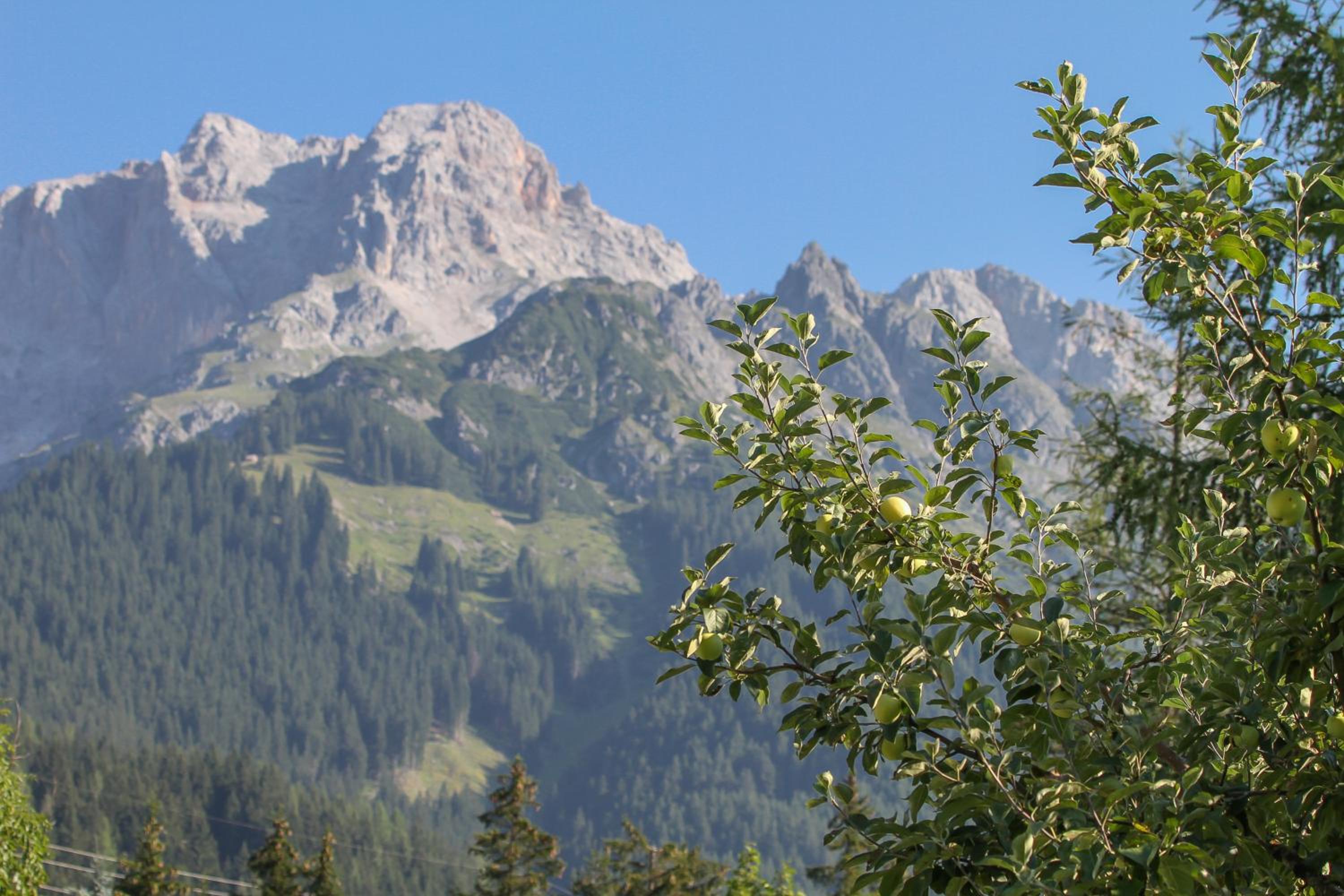 Haus Bergliebe