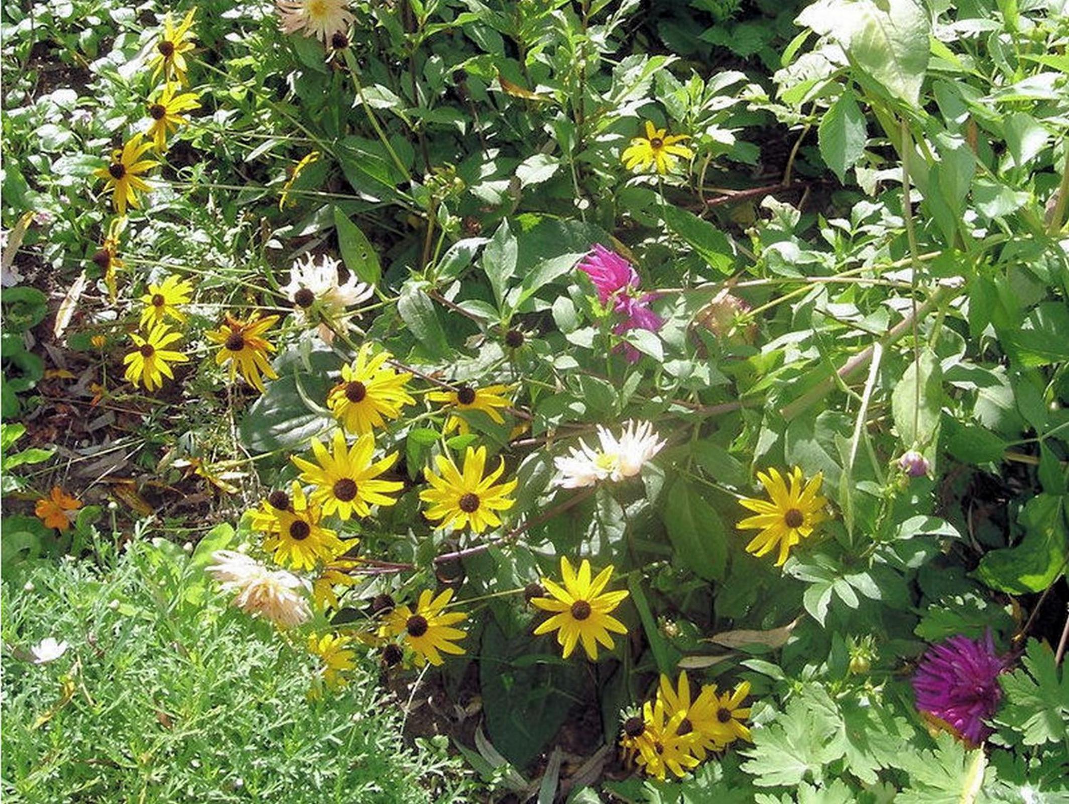 Photo 27