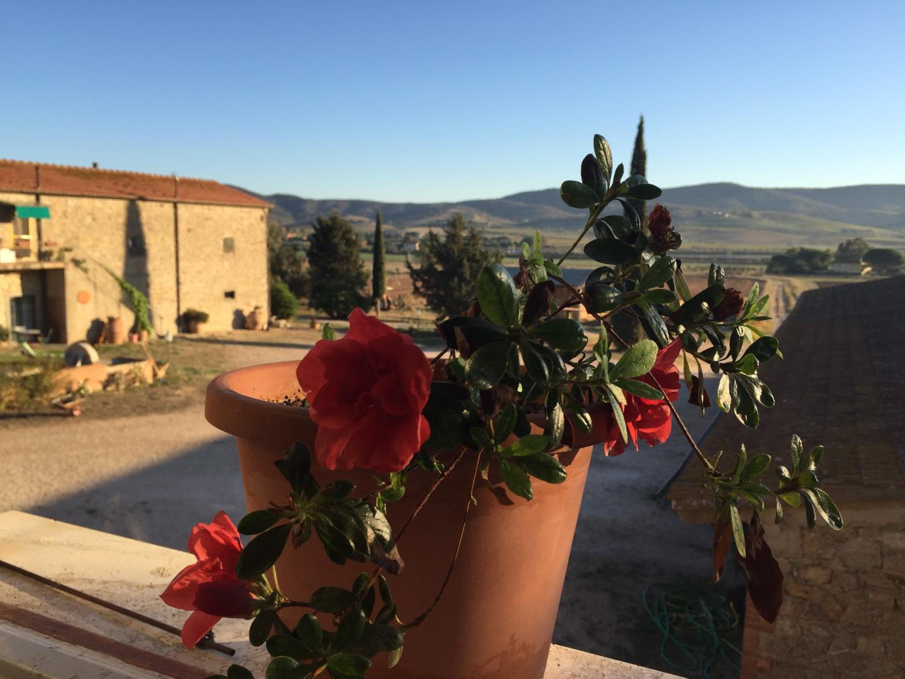 Agriturismo La Valentina Nuova