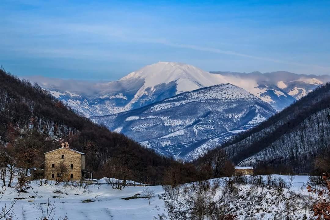 Agriturismo Foglie view 4
