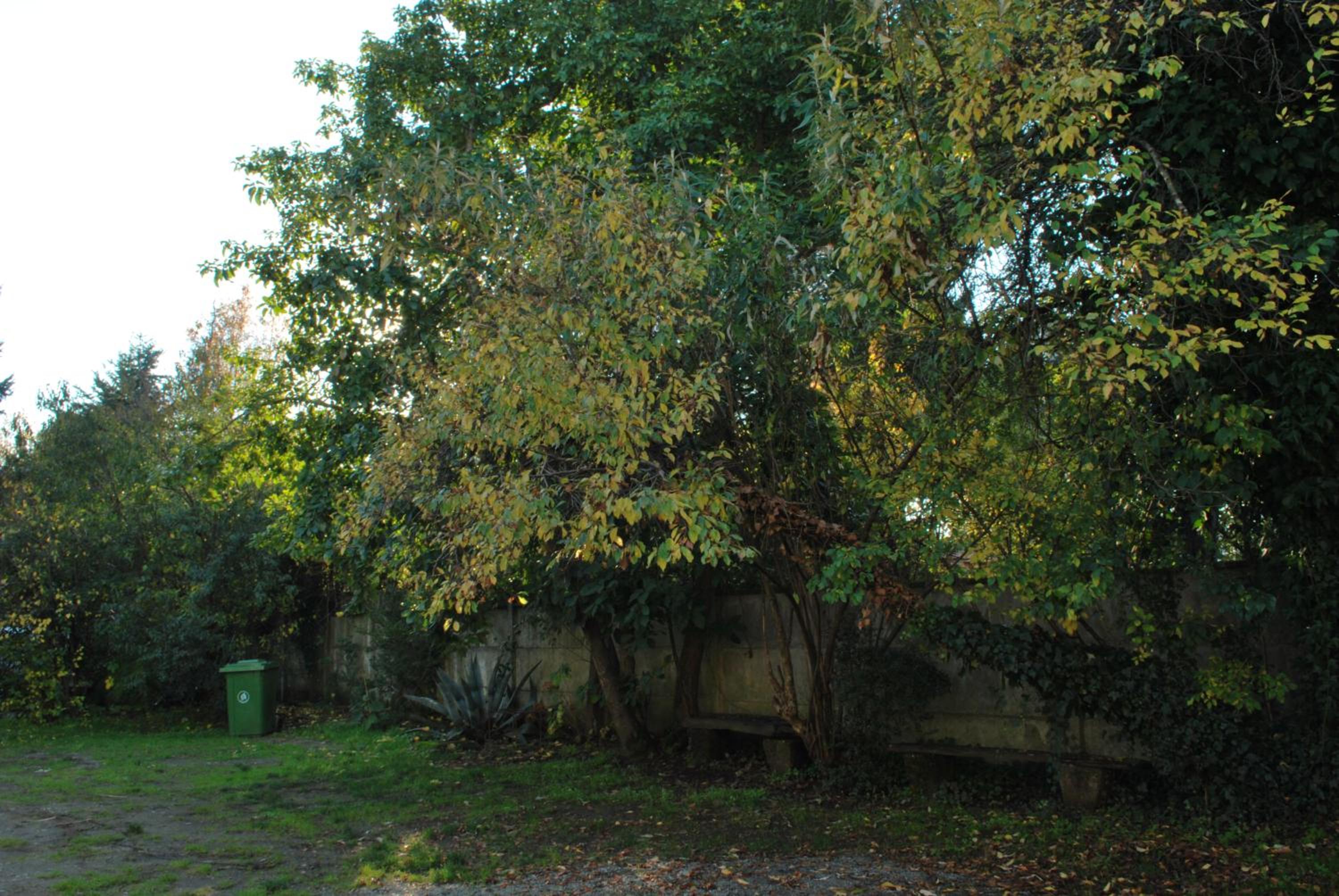 Cabañas Rio Leufucade