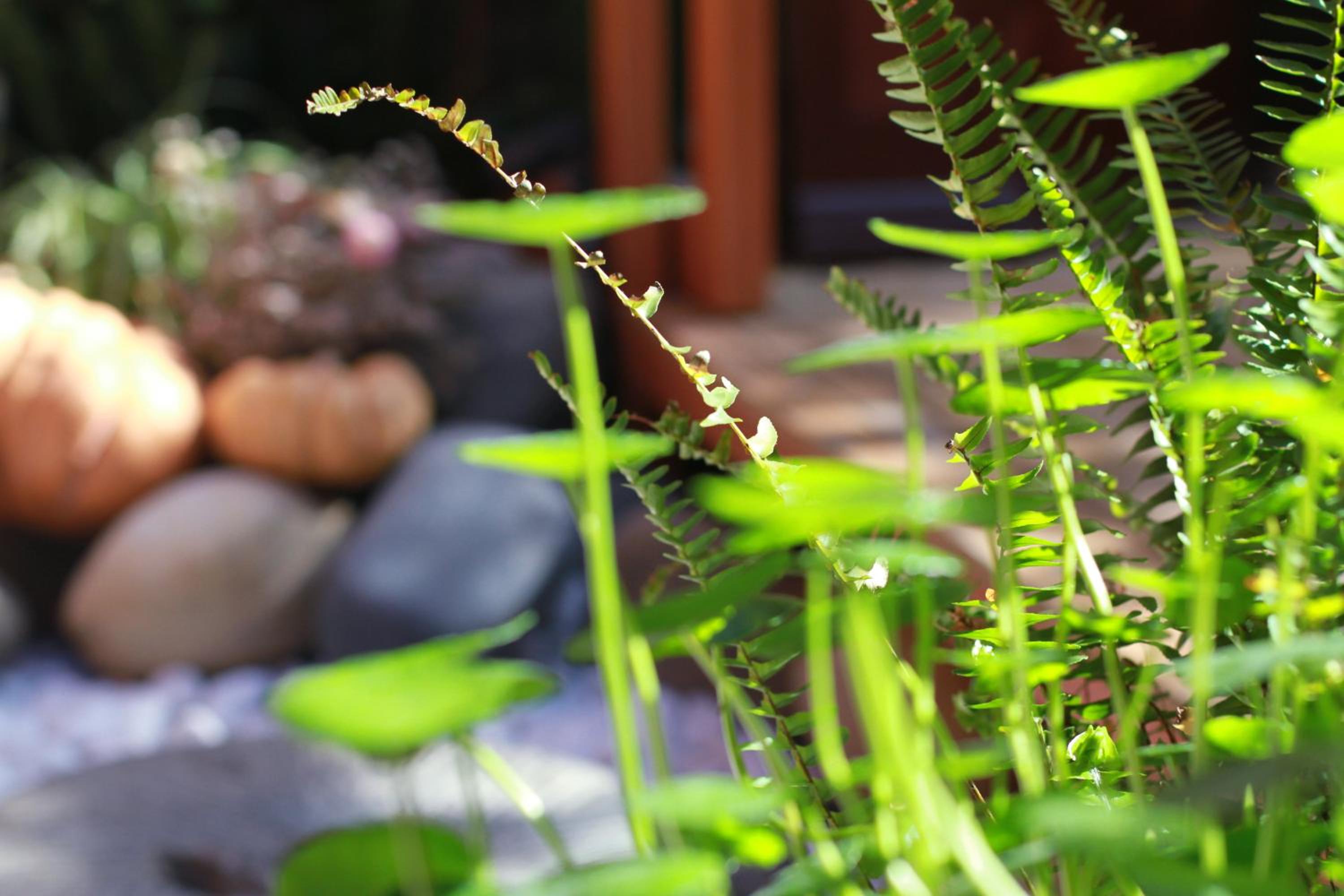 Lijiang Sunshine Nali Inn
