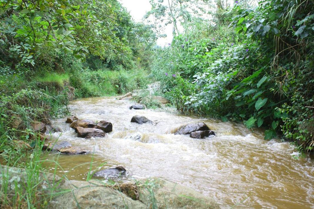Rustling River Resort