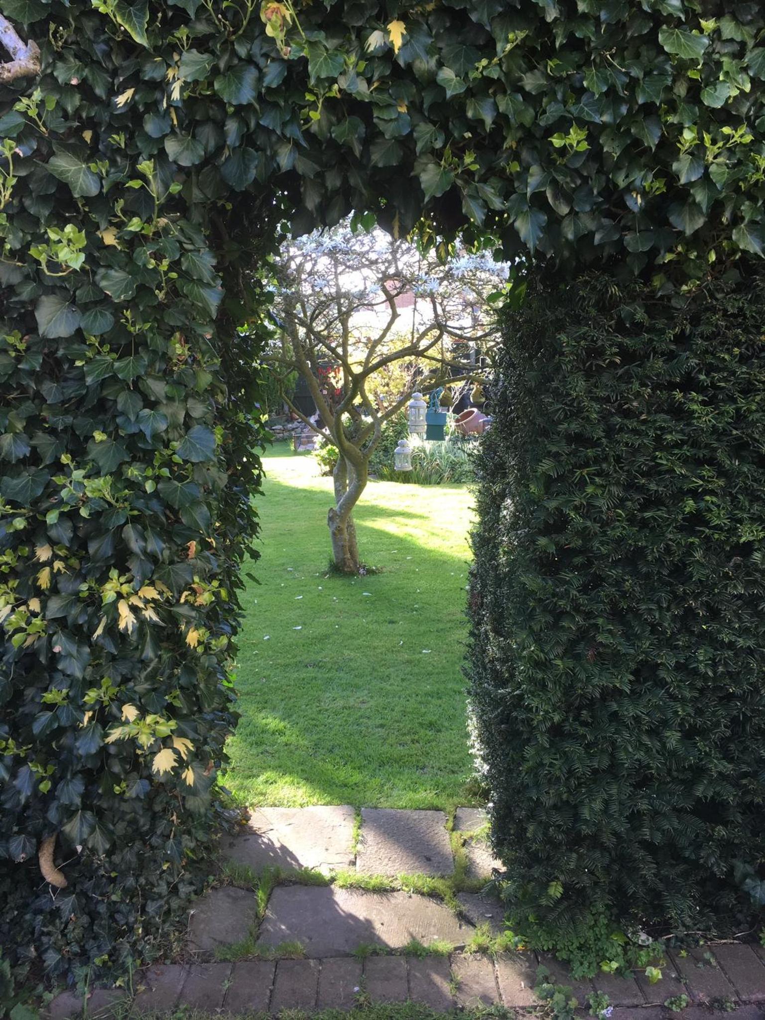 Photo 42