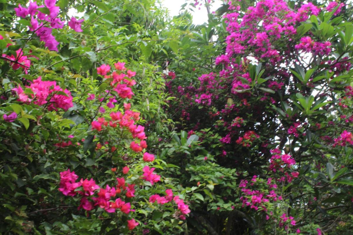 Photo 40