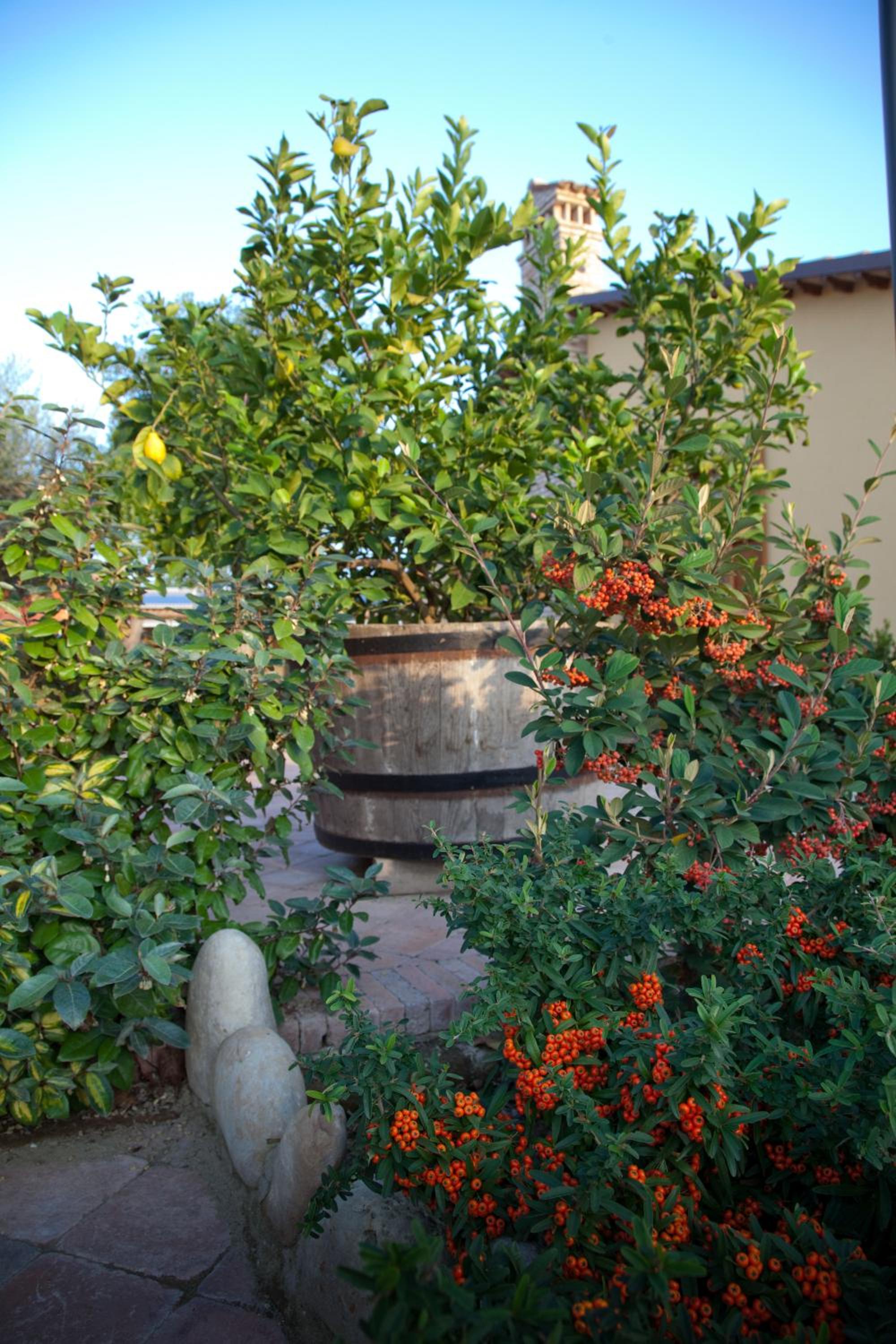 Valle del Metauro Country House