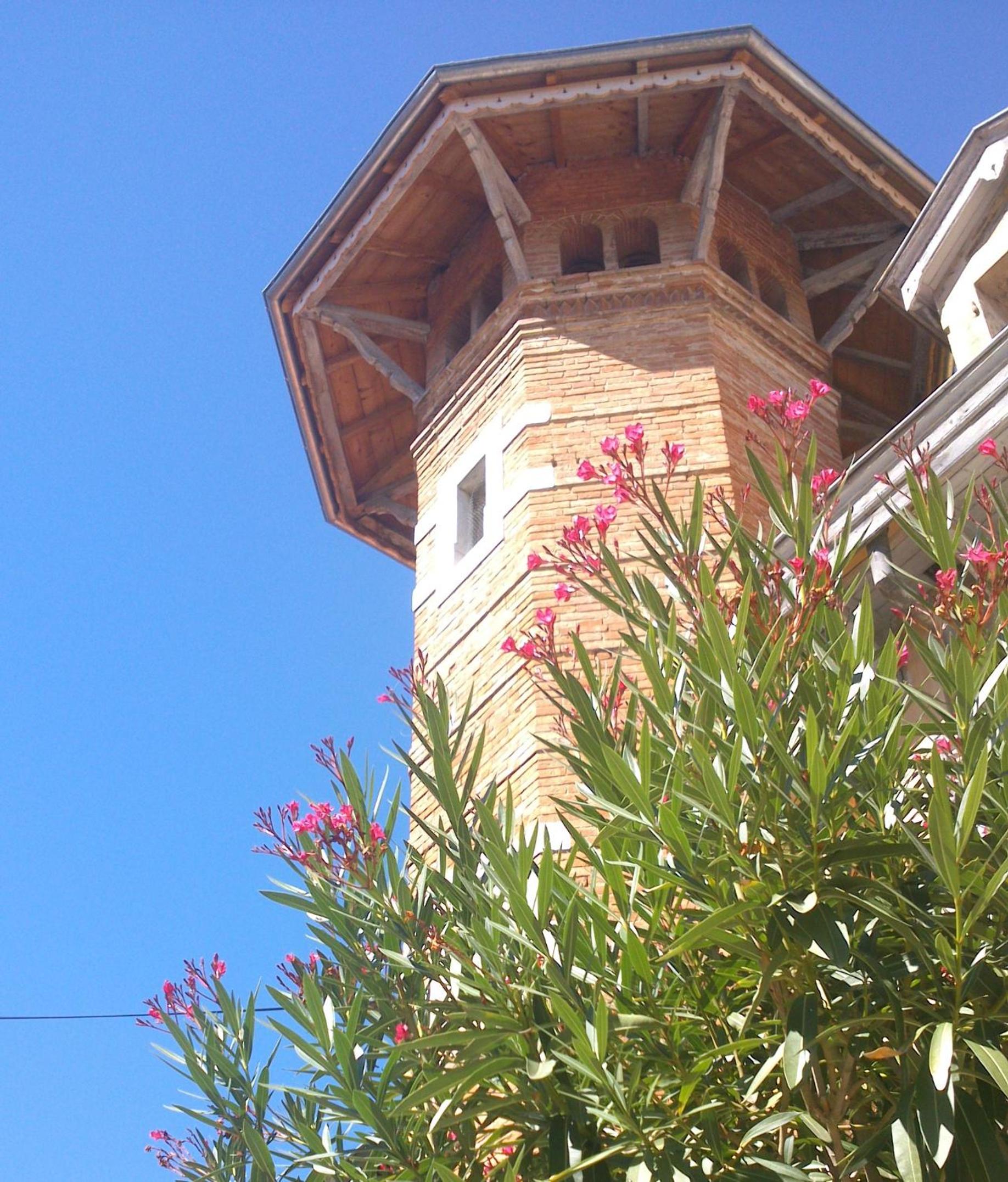 Photo 21