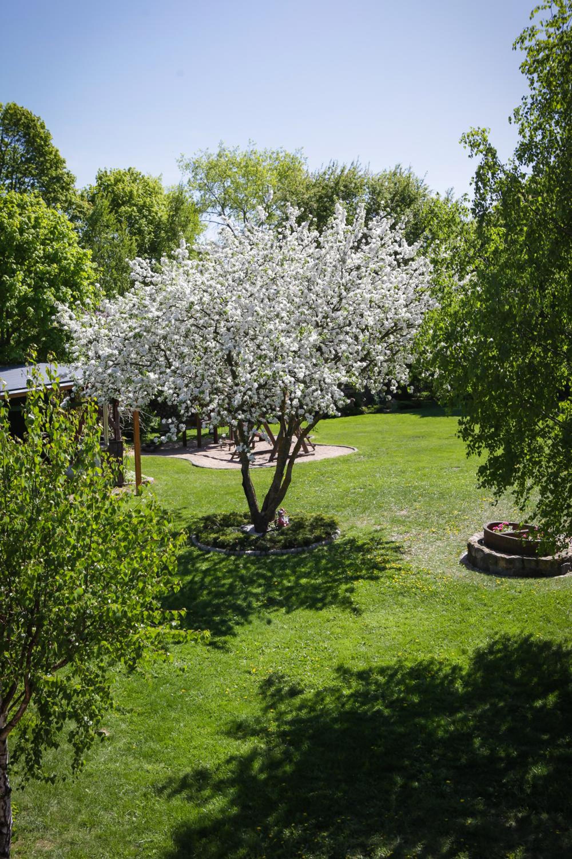 Photo 52
