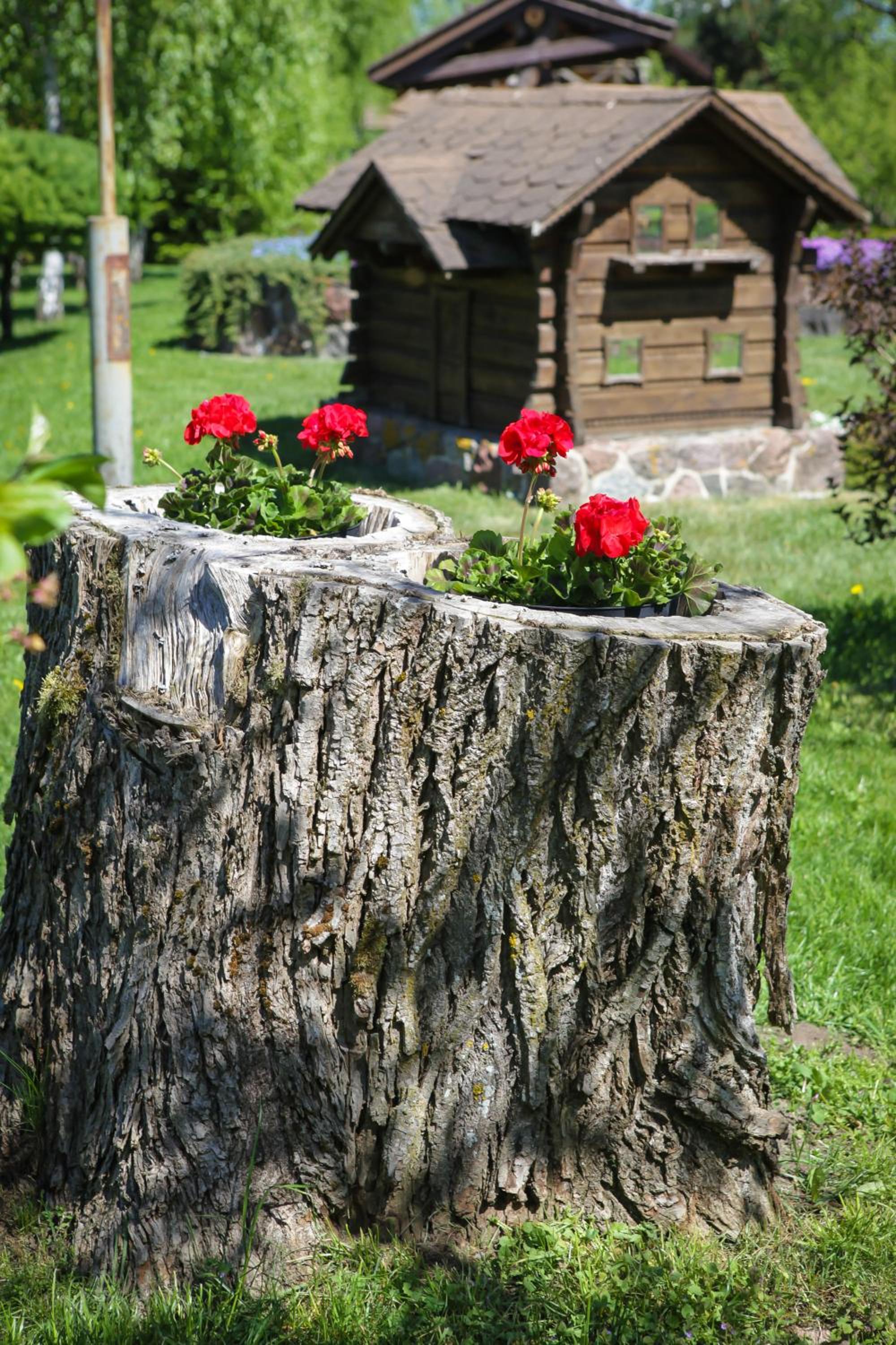 Photo 44