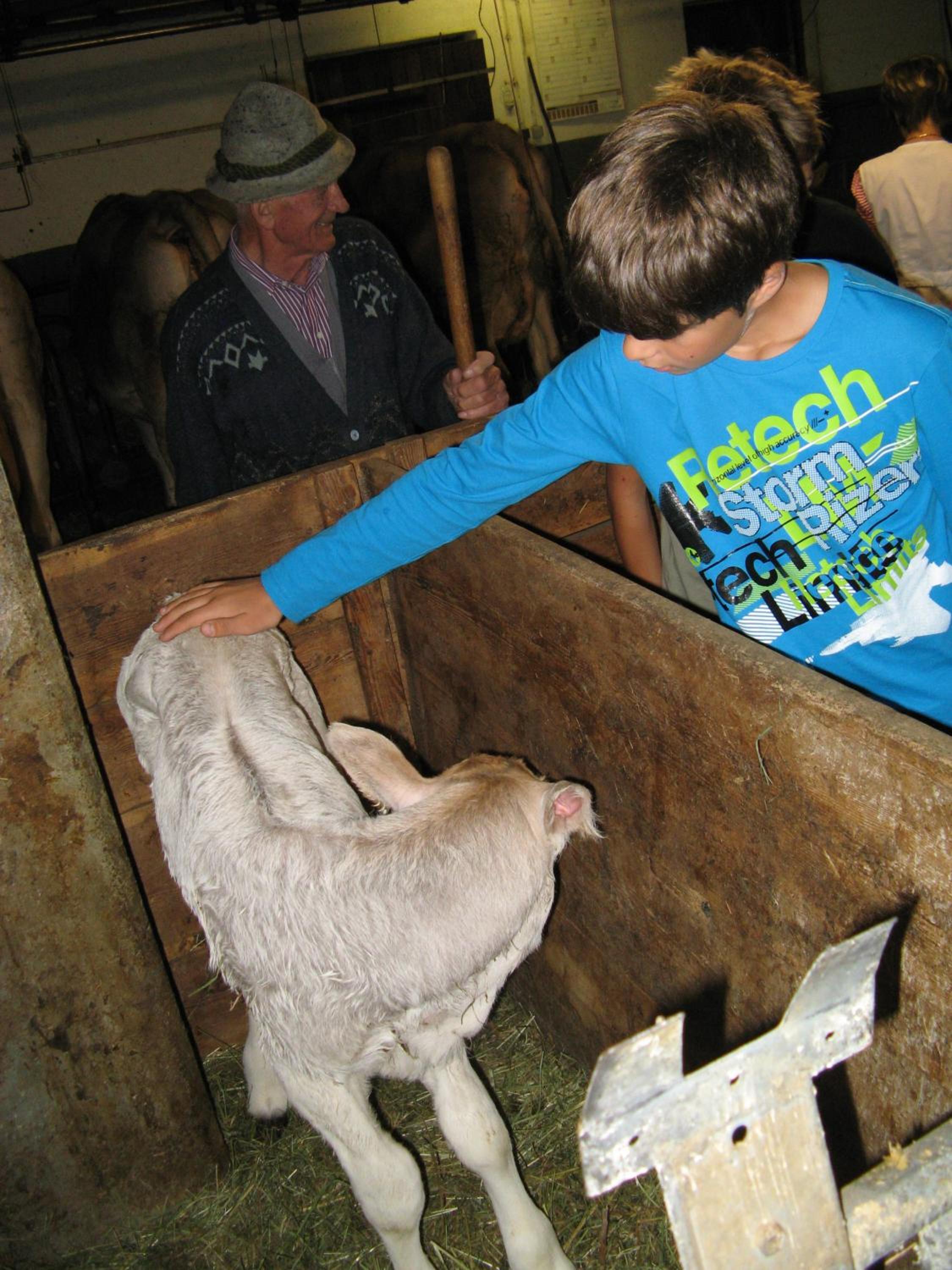 Kinderbauernhof Leneler