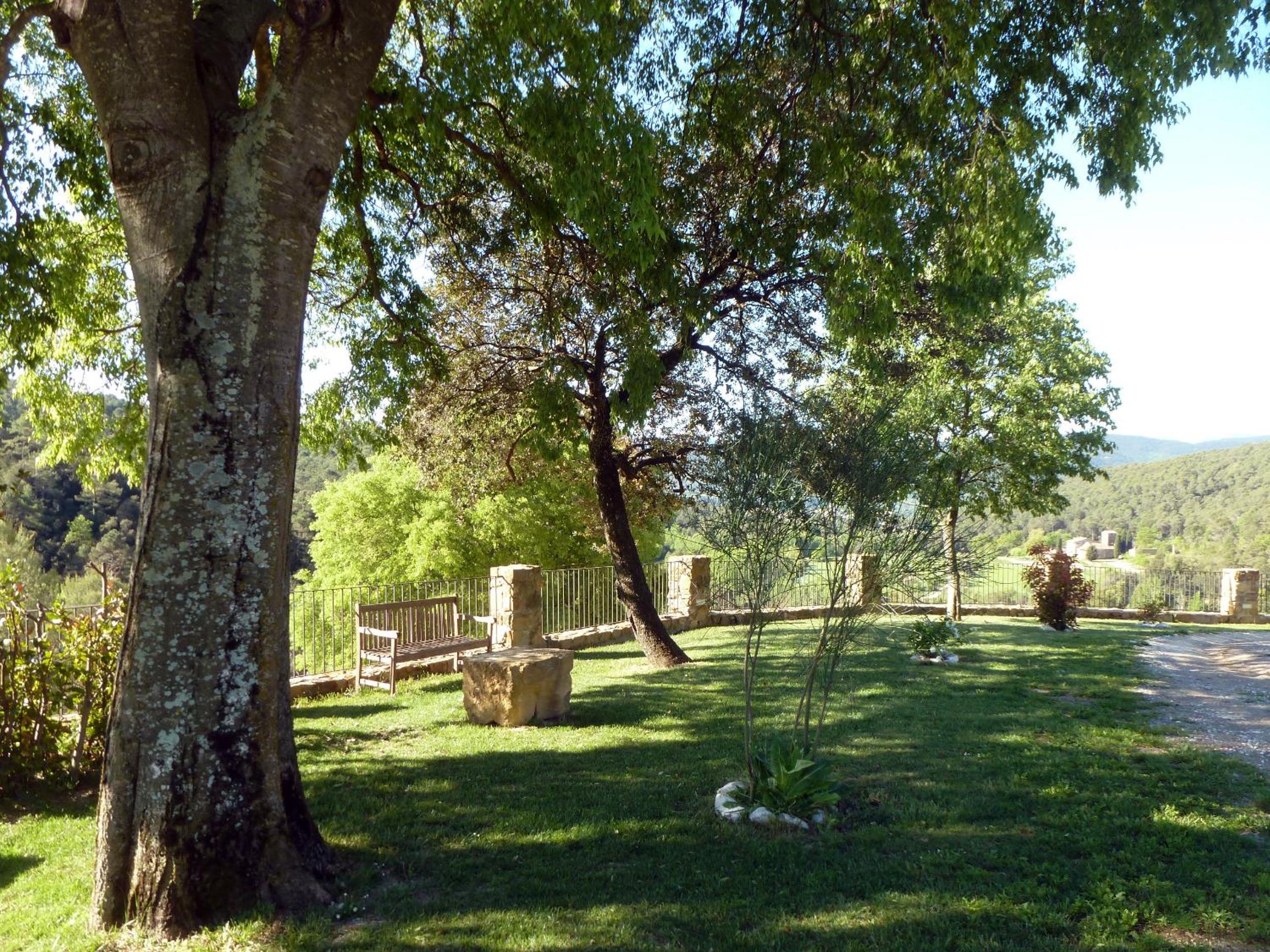 Photo 24