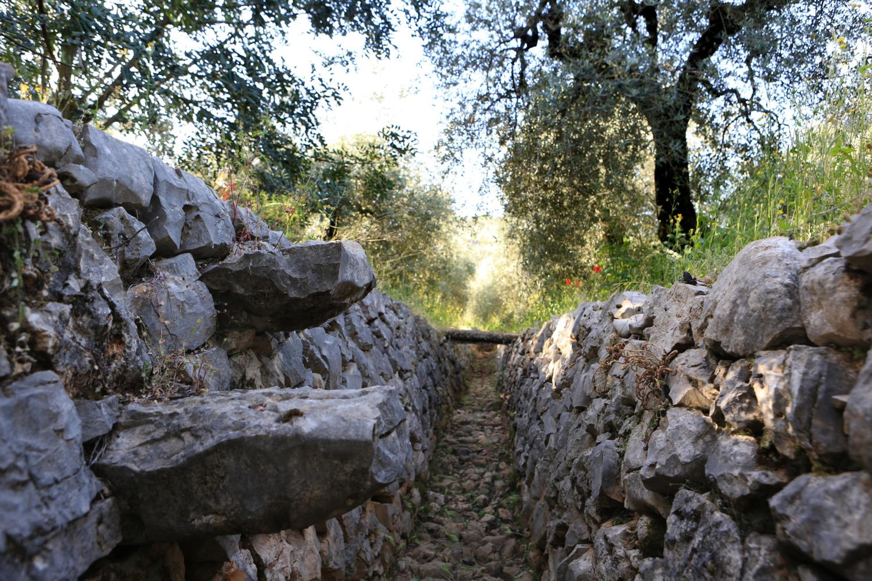 Photo 27