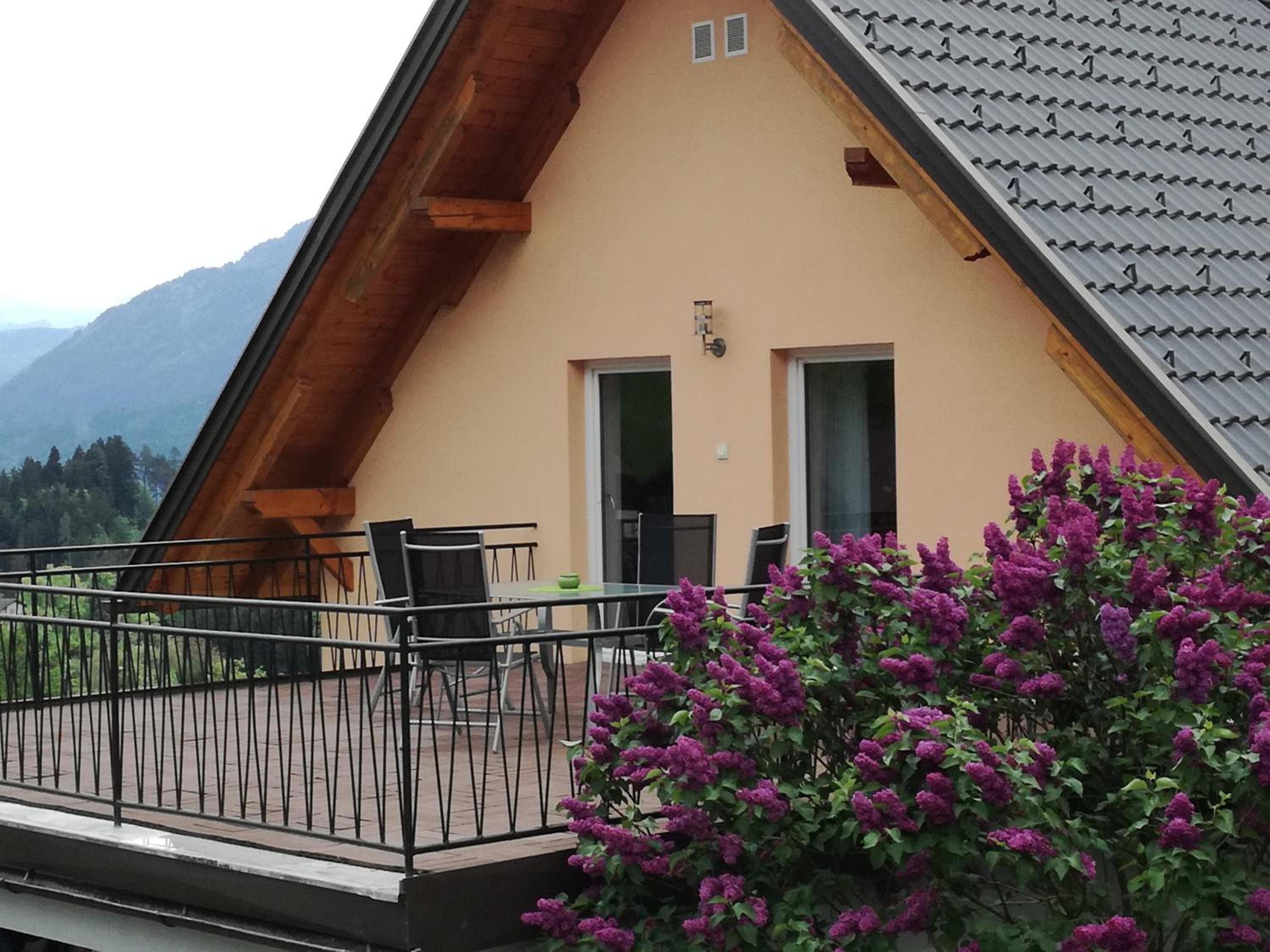 Haus Elvira view 5
