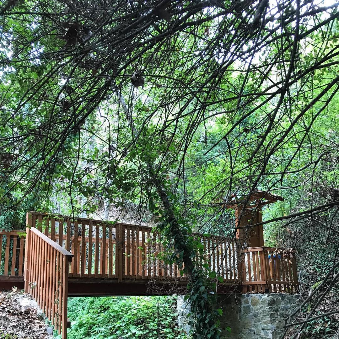 Gold Mountain House