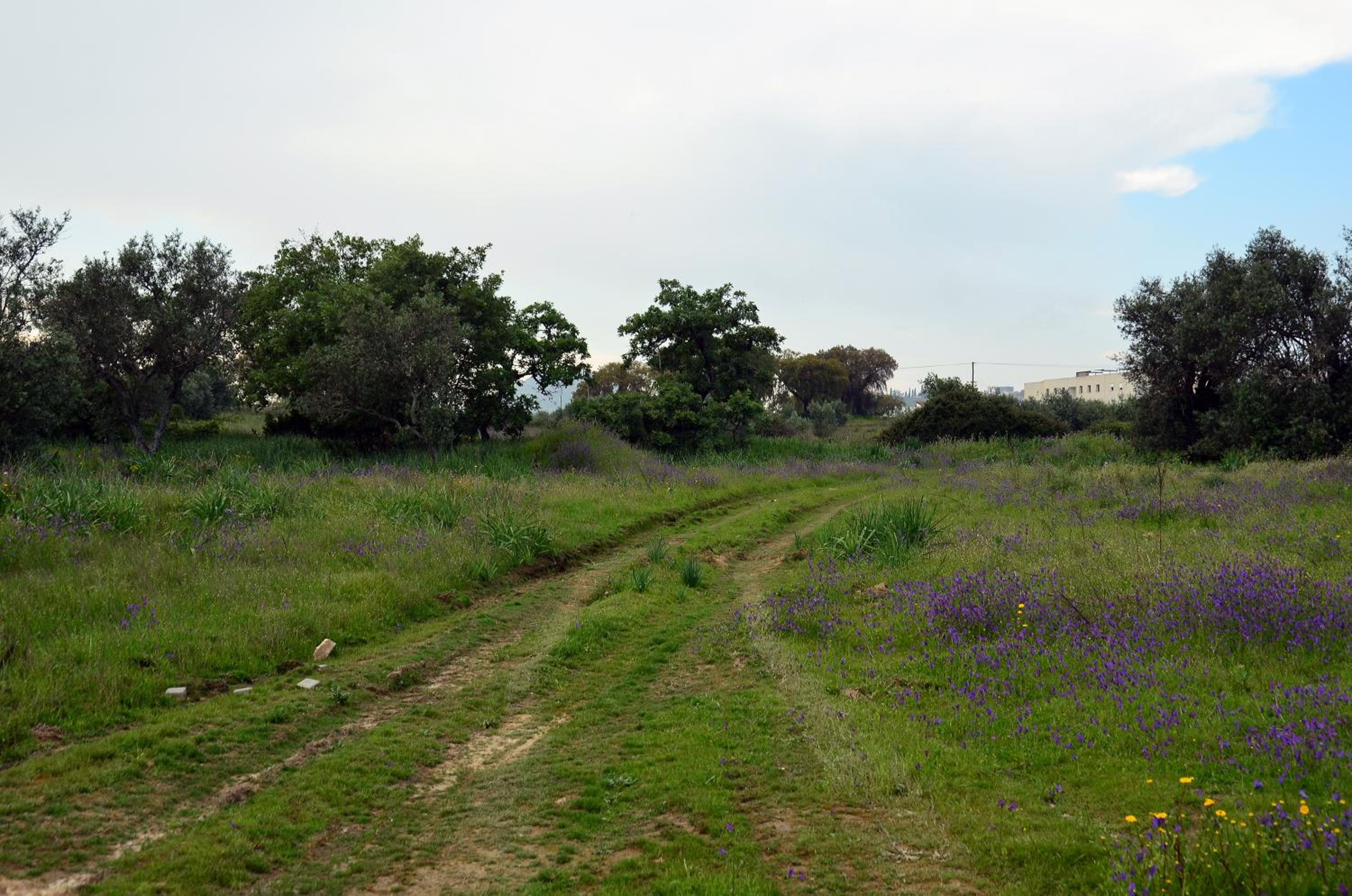 Photo 38