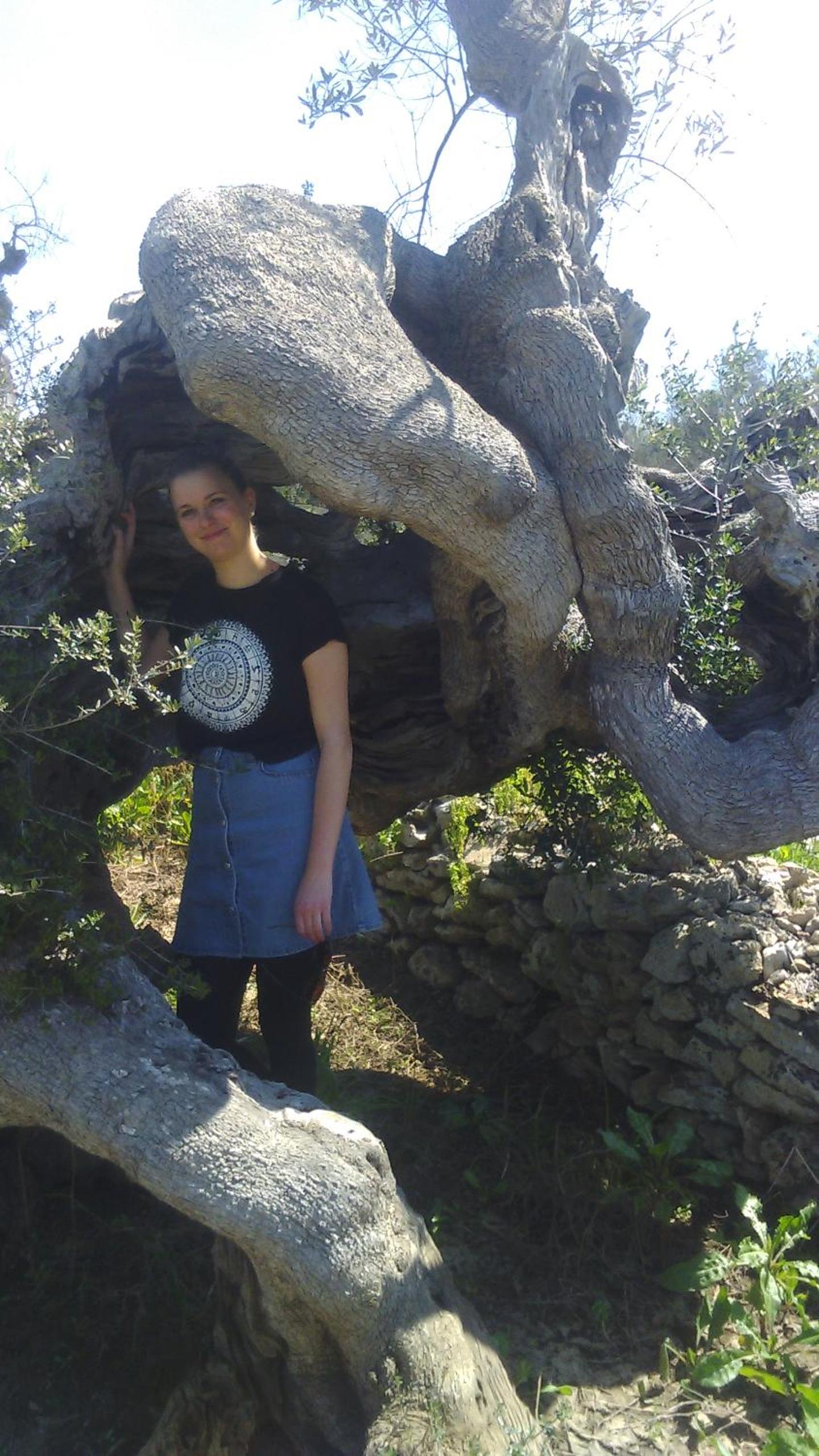 Felline In Bed&Breakfast Dimora di Charme el Salento