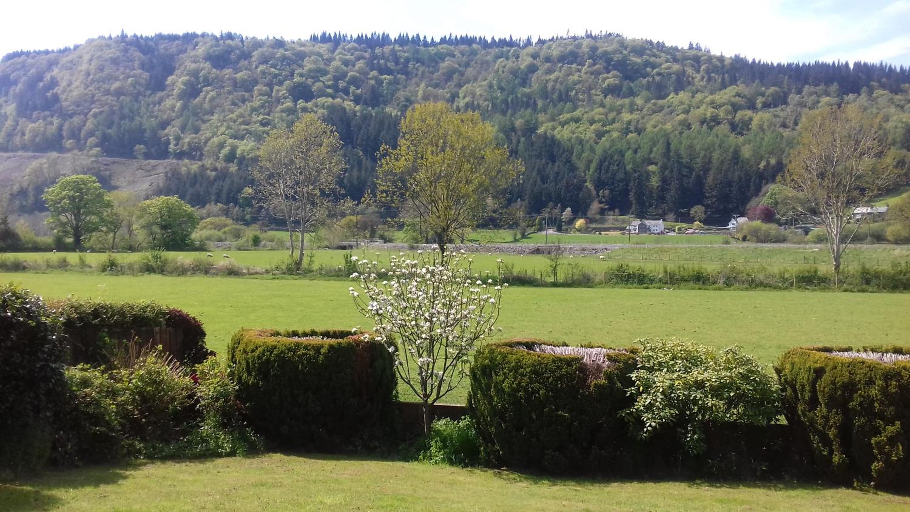 Photo 43