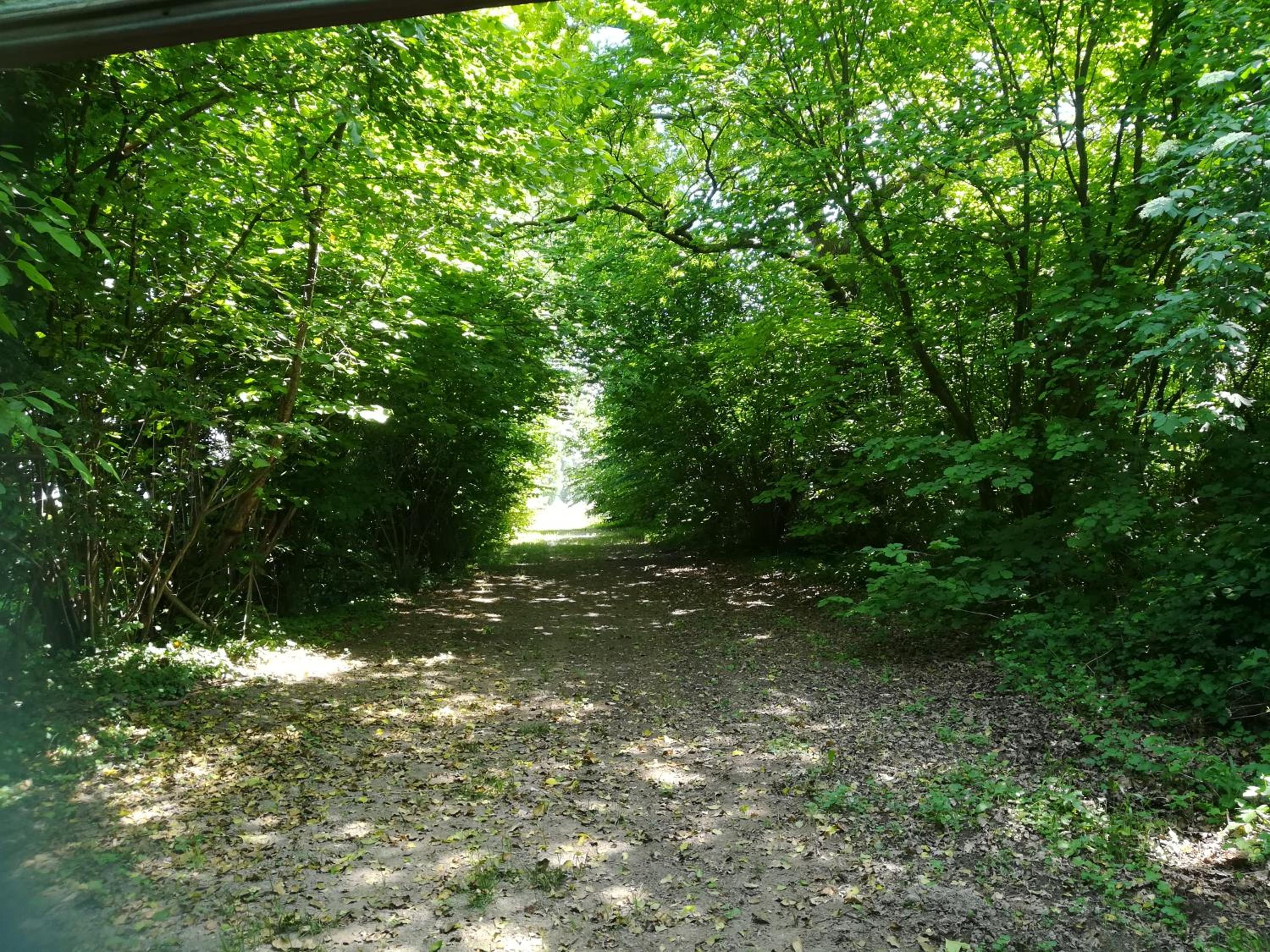 Photo 28