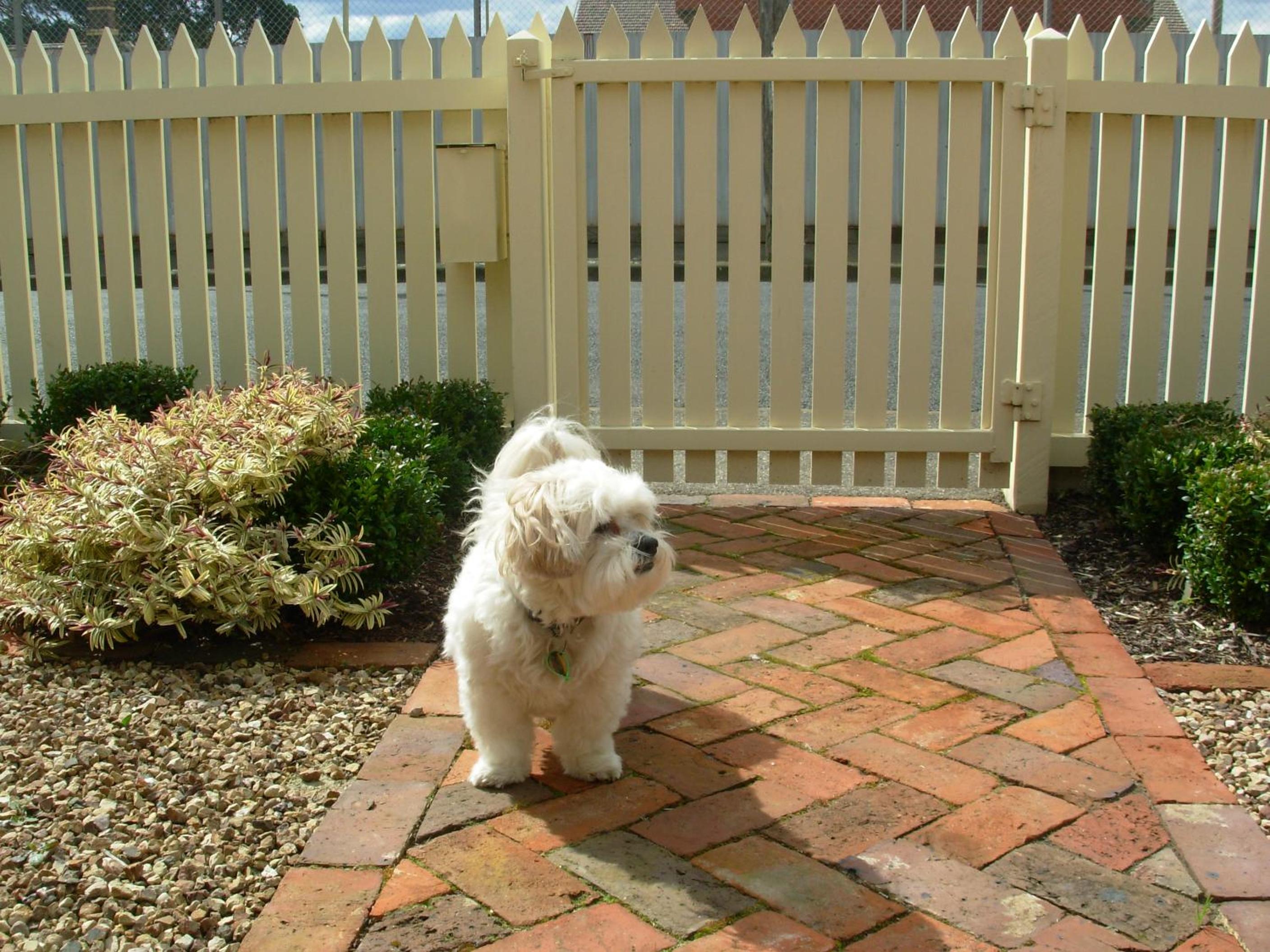 Photo 37